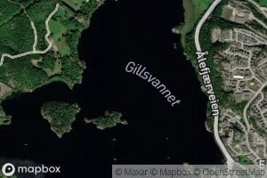 Gillsvann