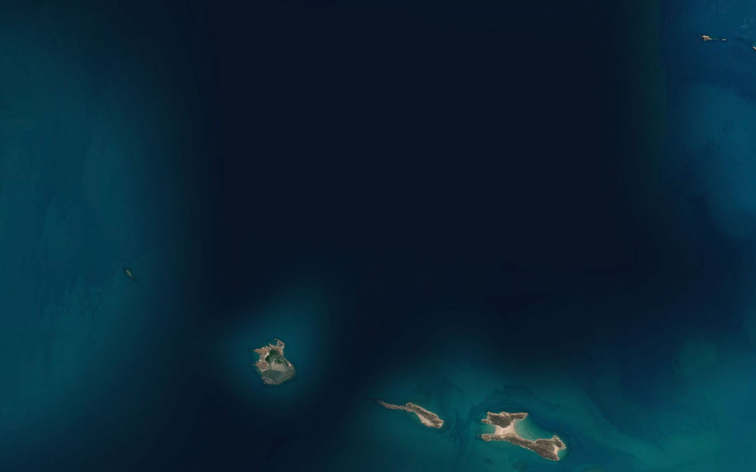 Tiffy Reef