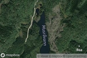 Musravatnet