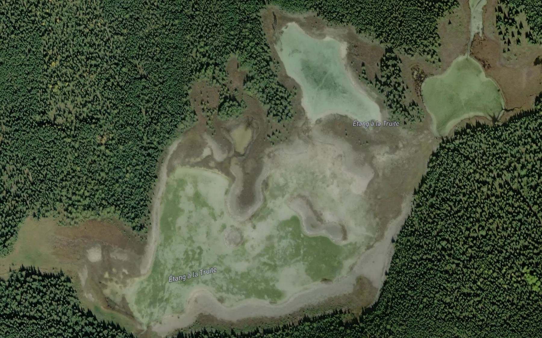 Satellite map of the Etang a la Truite
