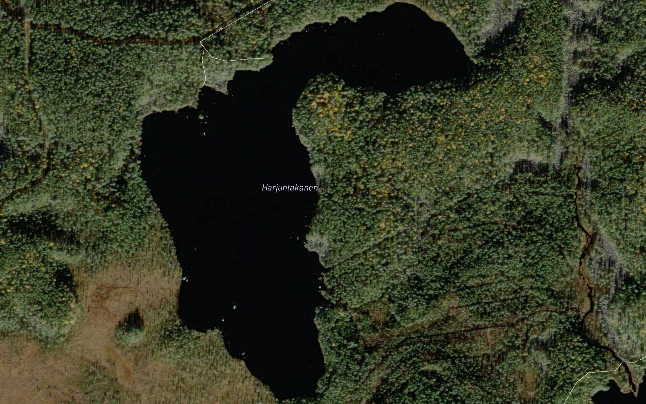 Harjuntakanen