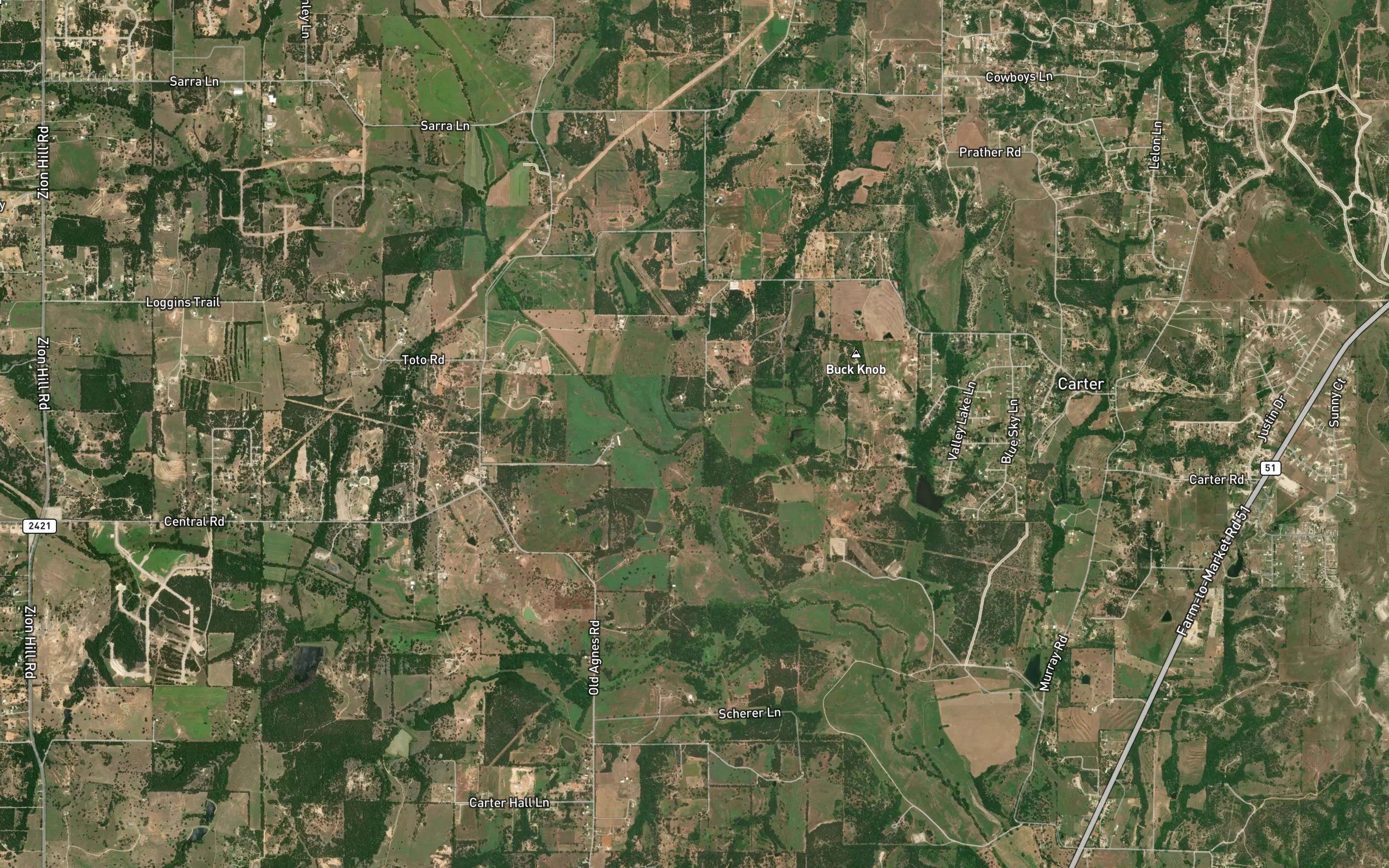 Beene Branch
