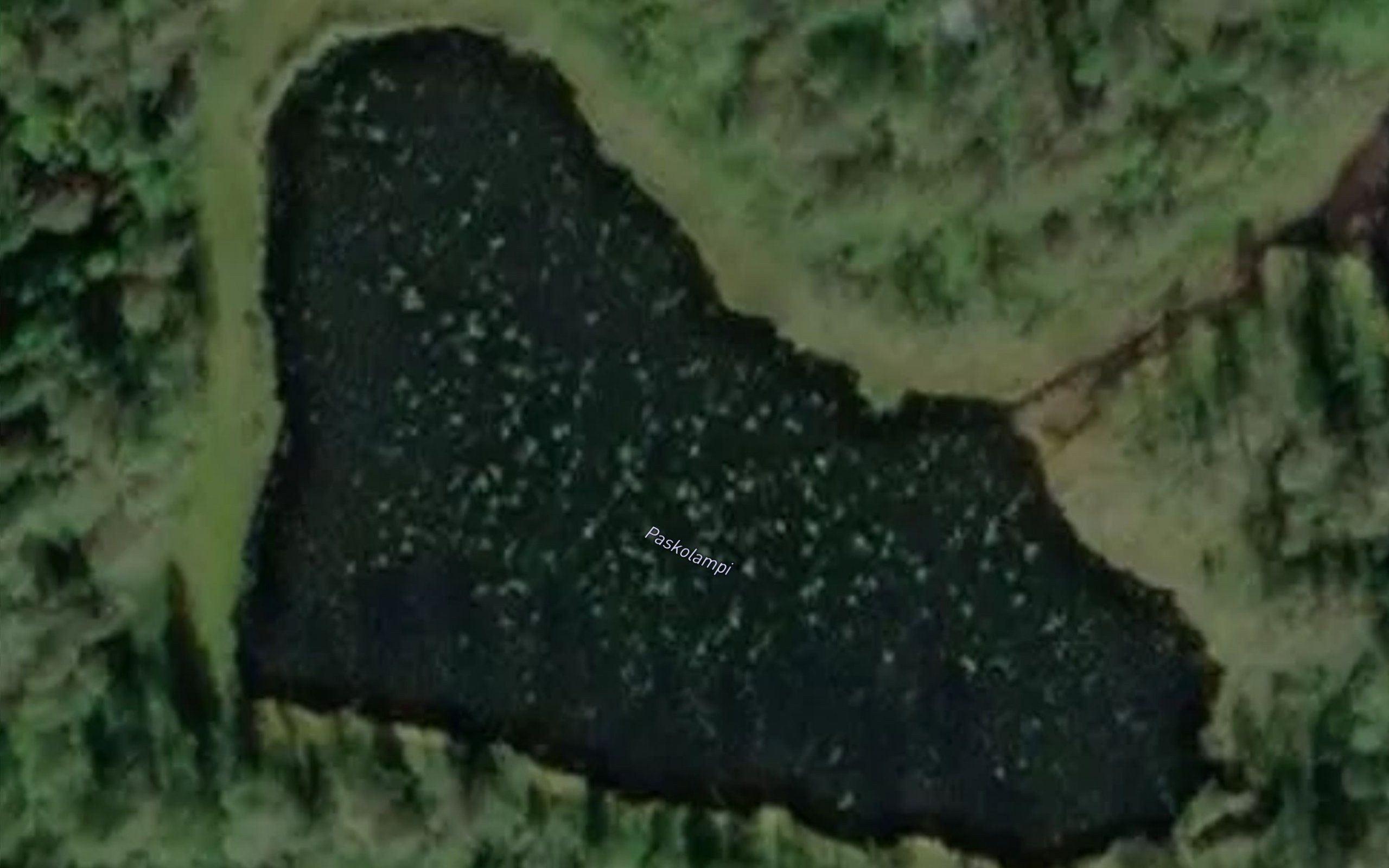 Paskolampi