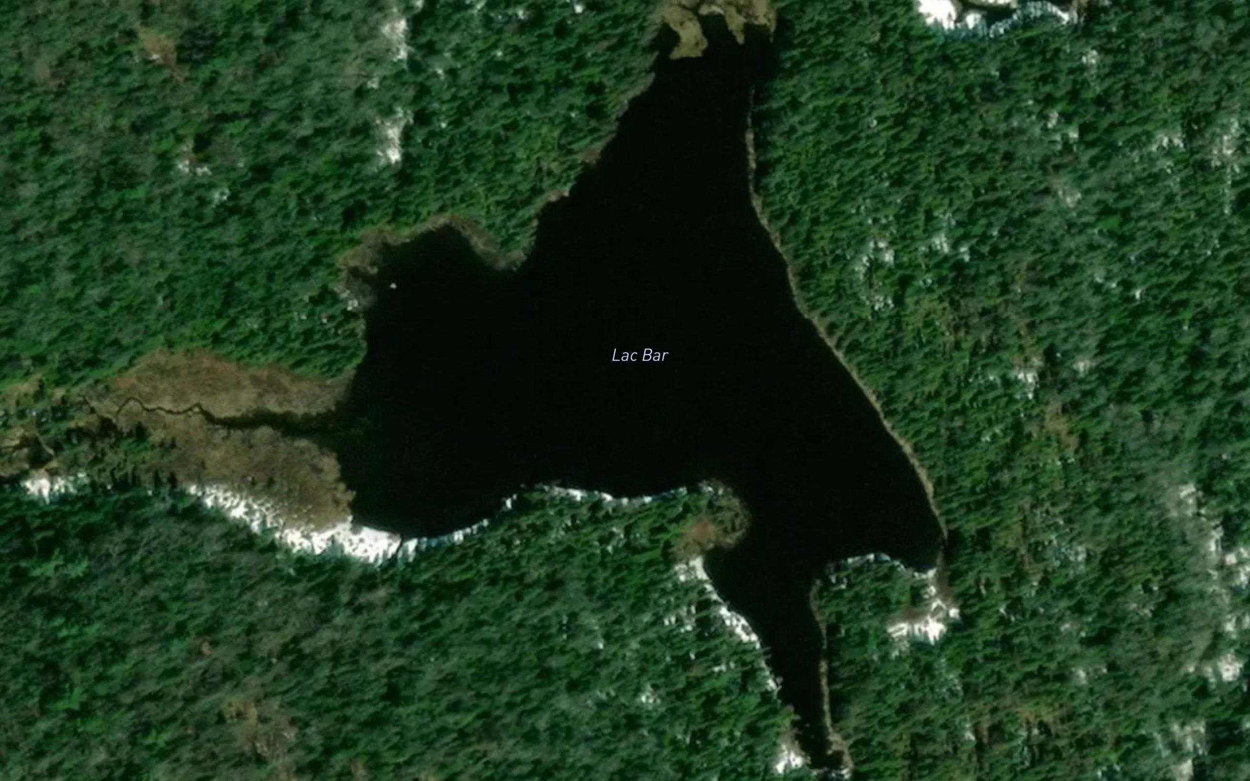 Lac Bar