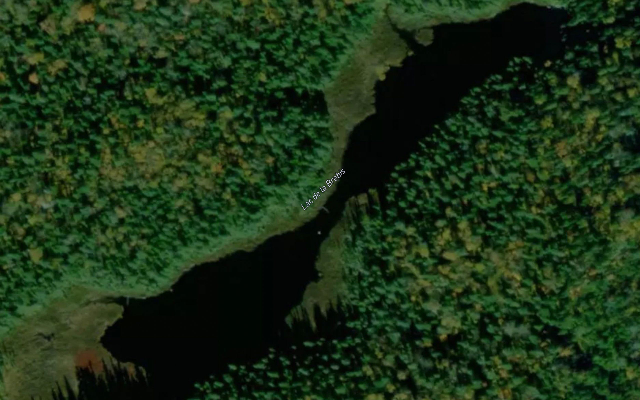 Lac de la Brebis