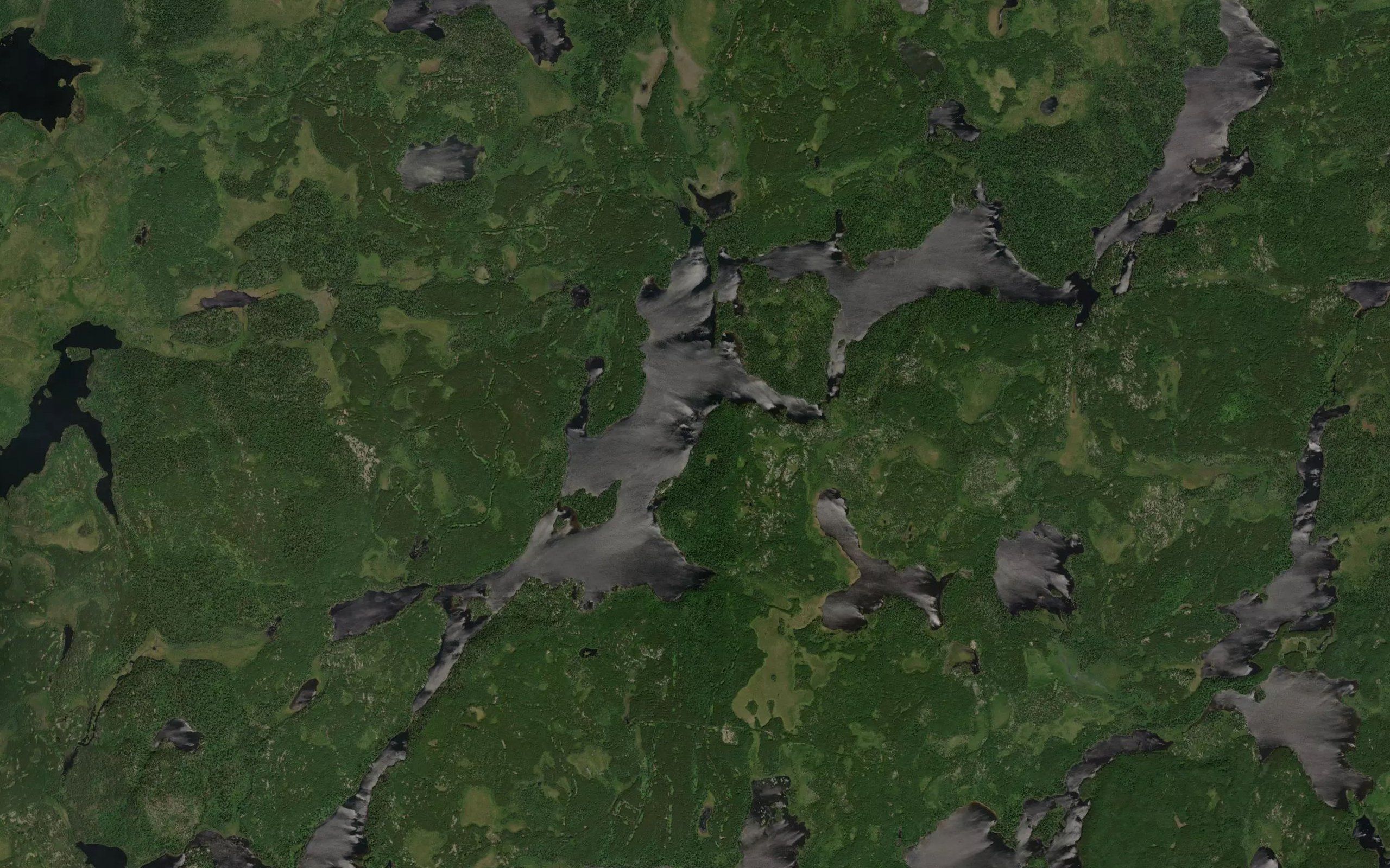 Gunter Lake