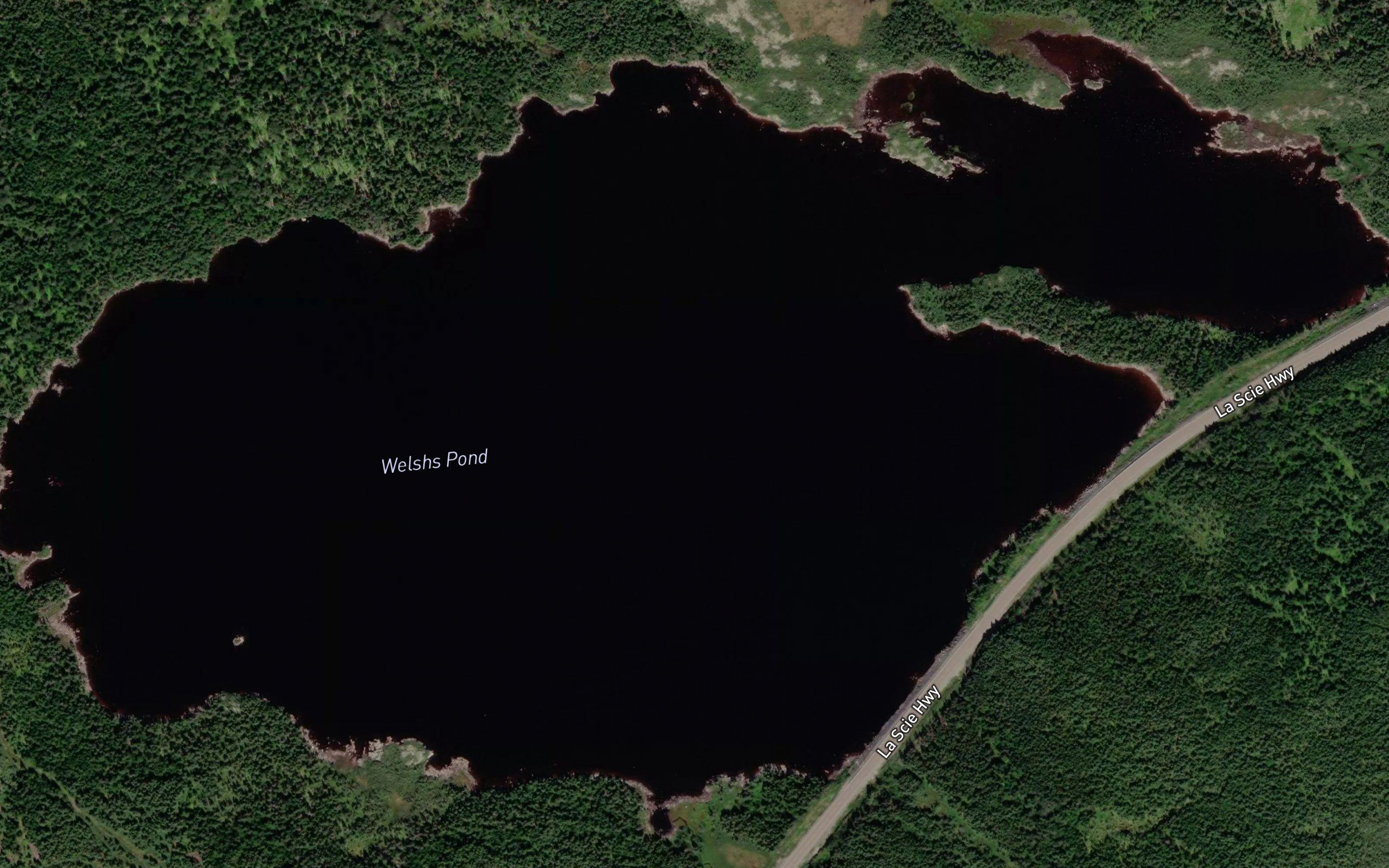 Welshs Pond