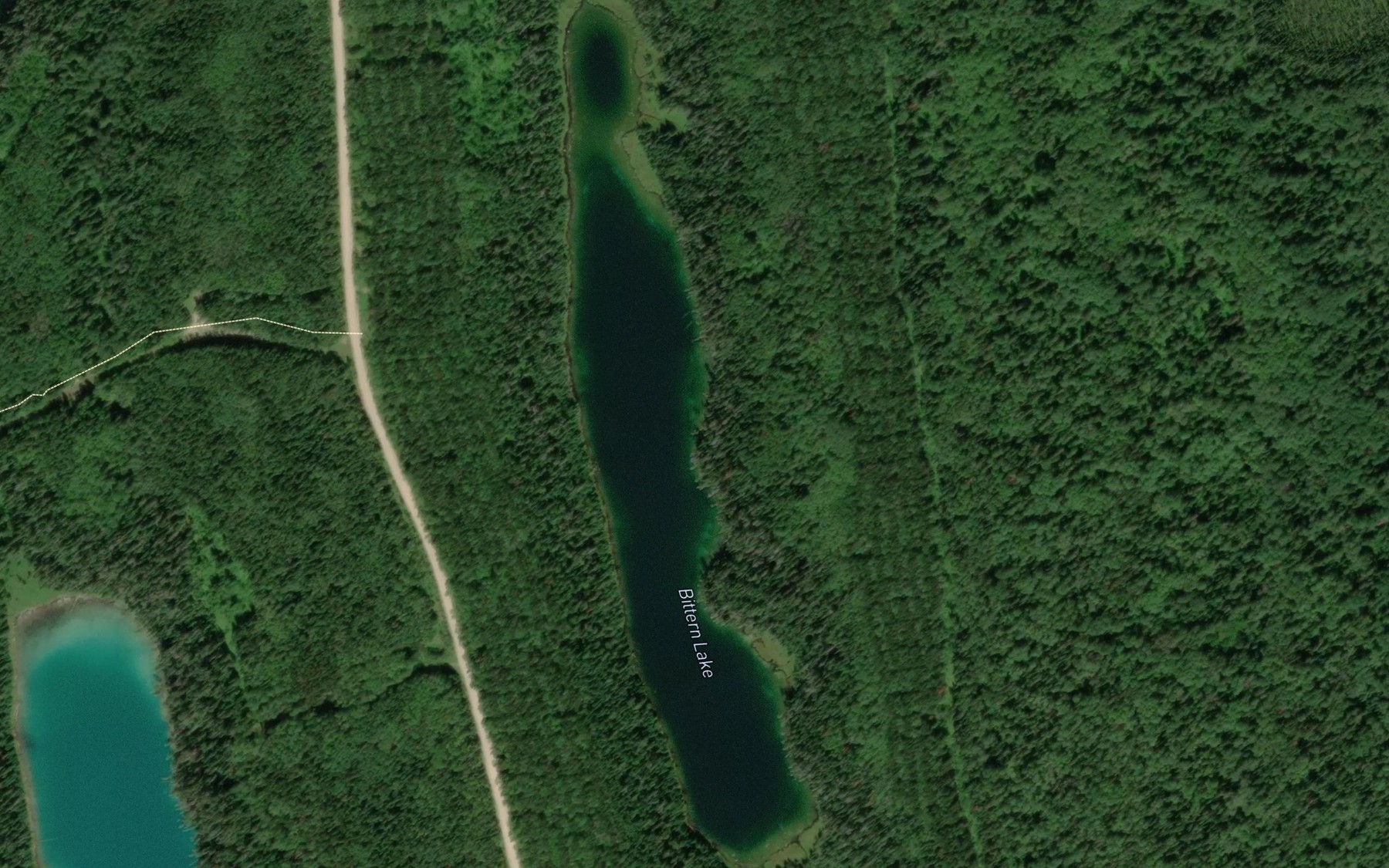 Satellite map of the Bittern Lake