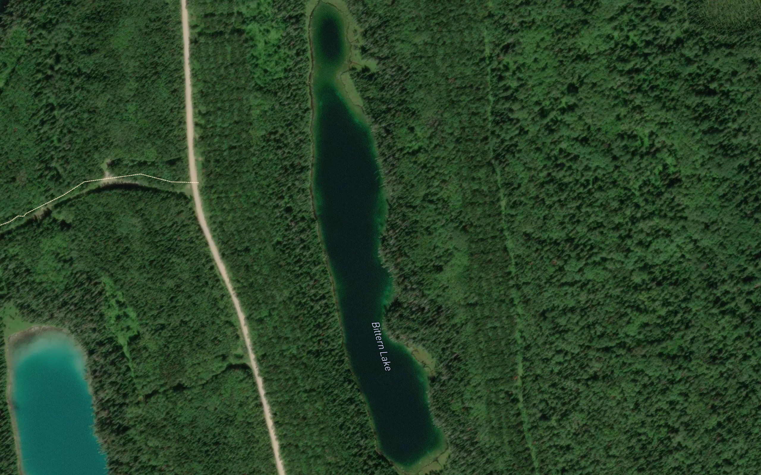 Bittern Lake
