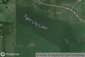 Tiger Lily Lake