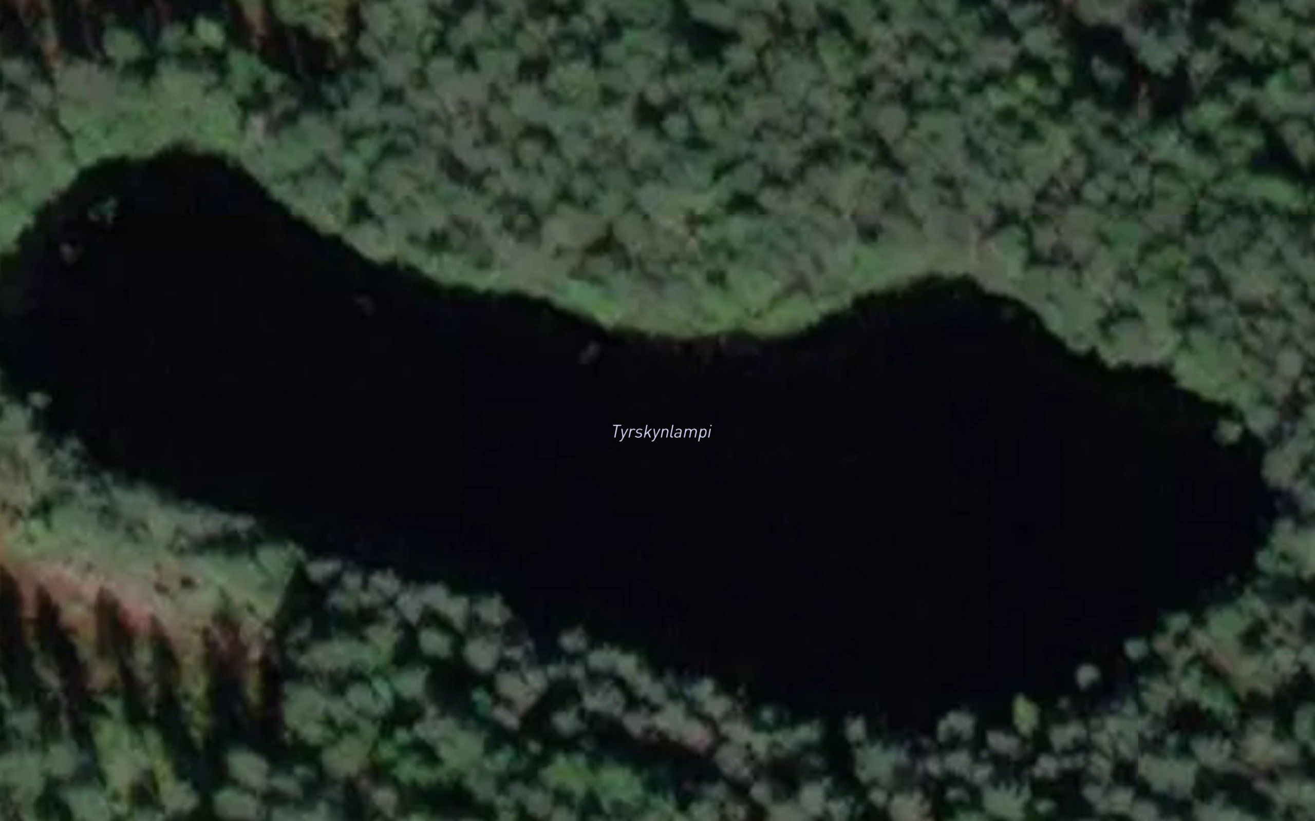 Tyrskynlampi