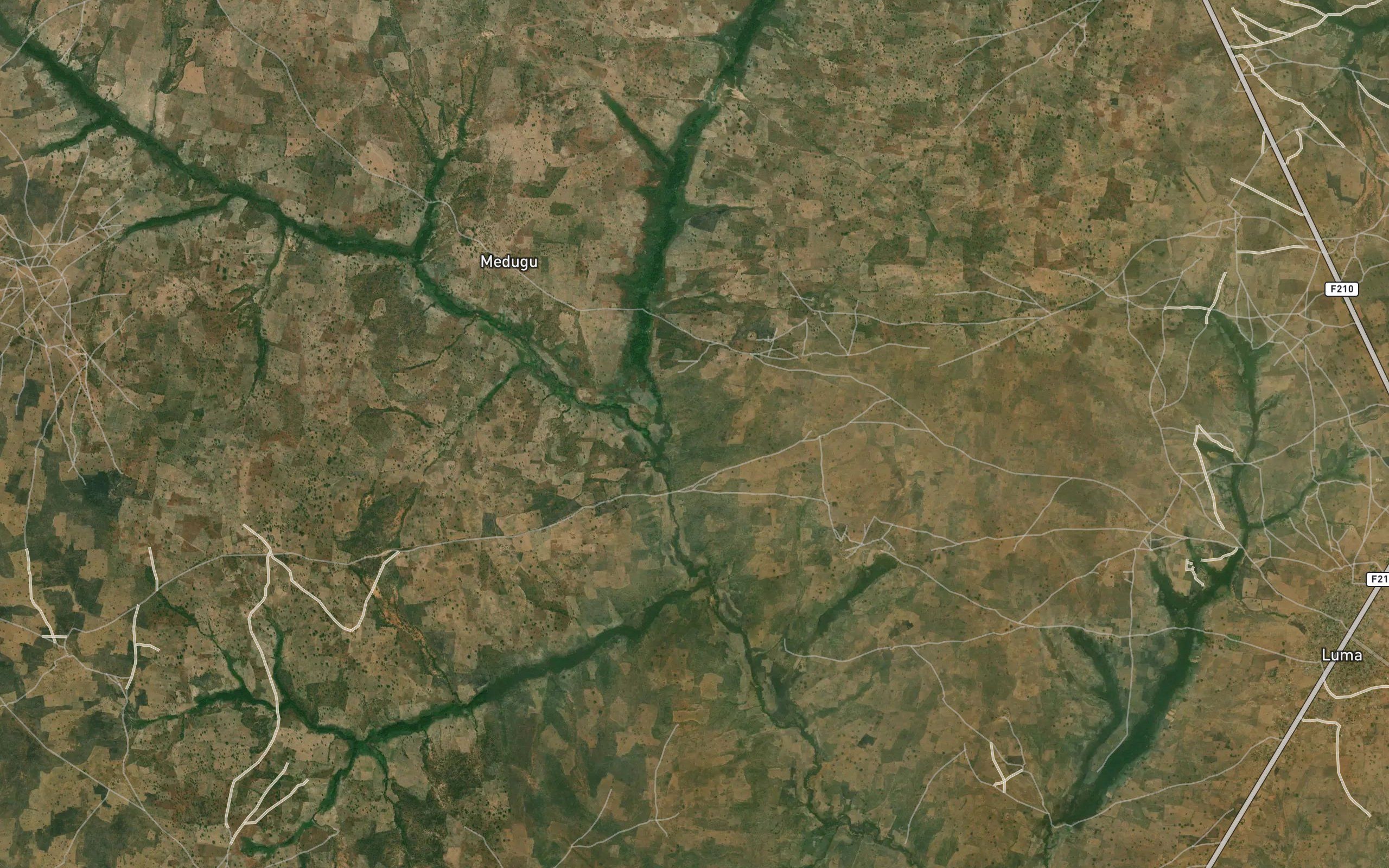 River Bogonii