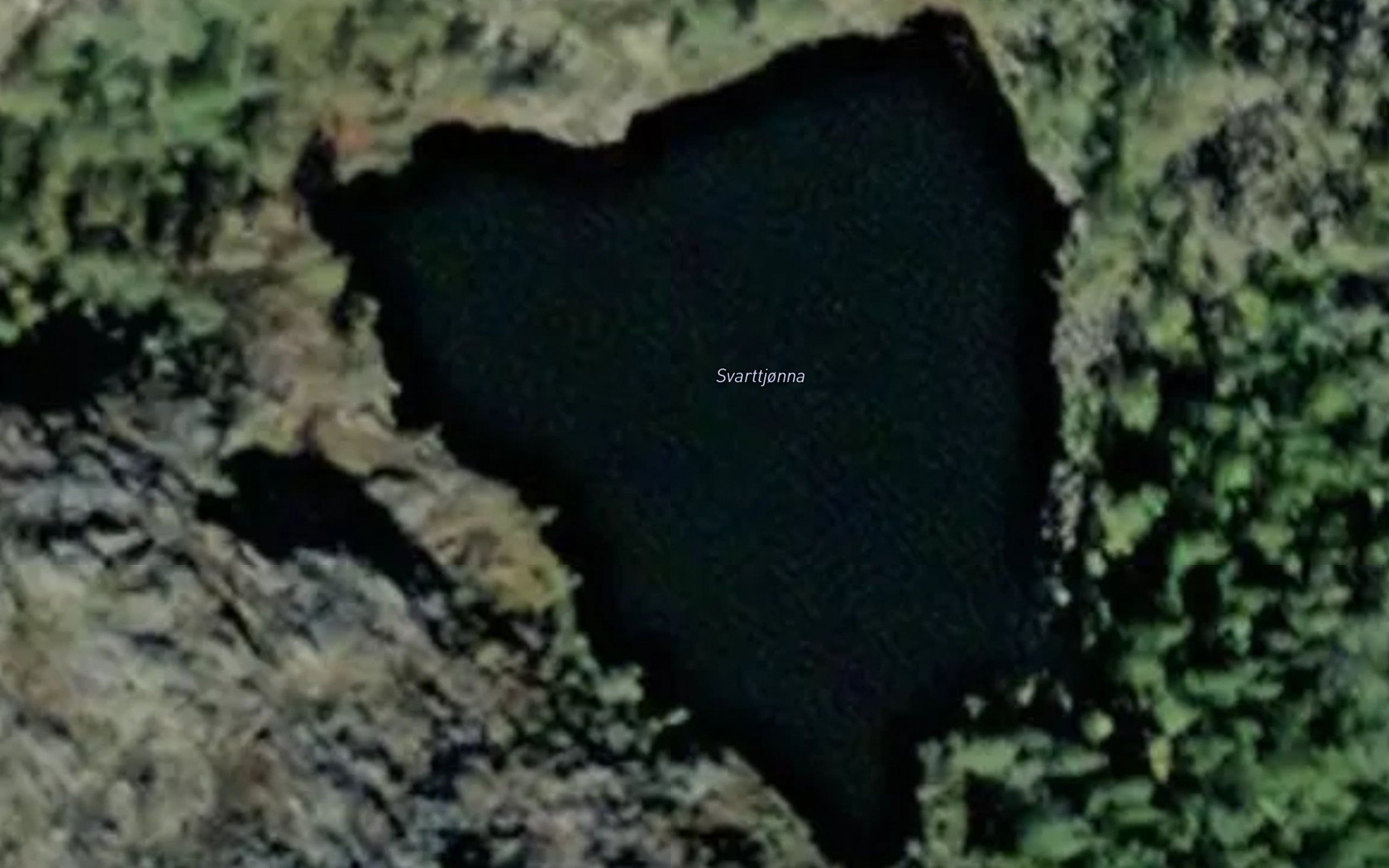 Svarttjorna