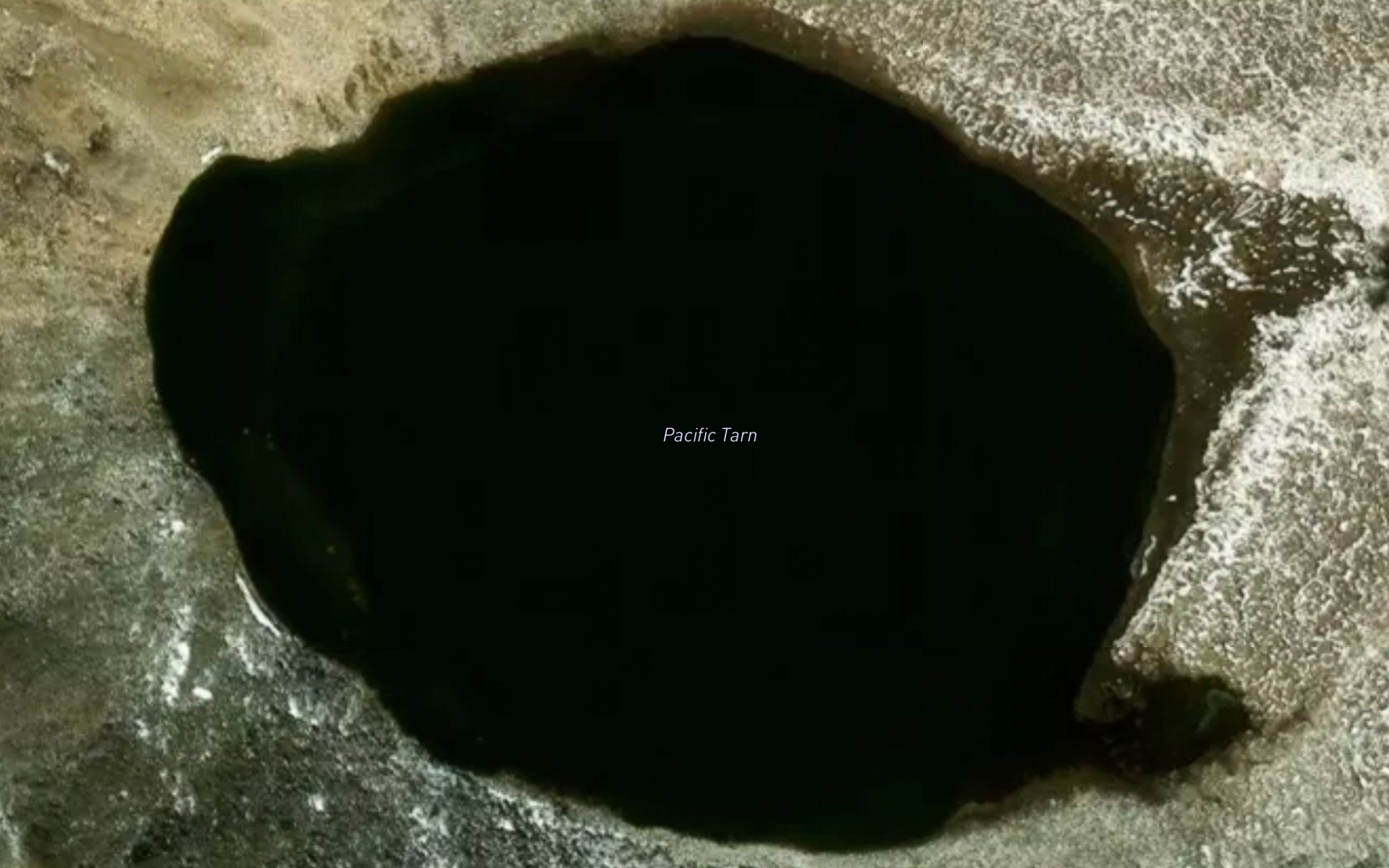 Pacific Tarn