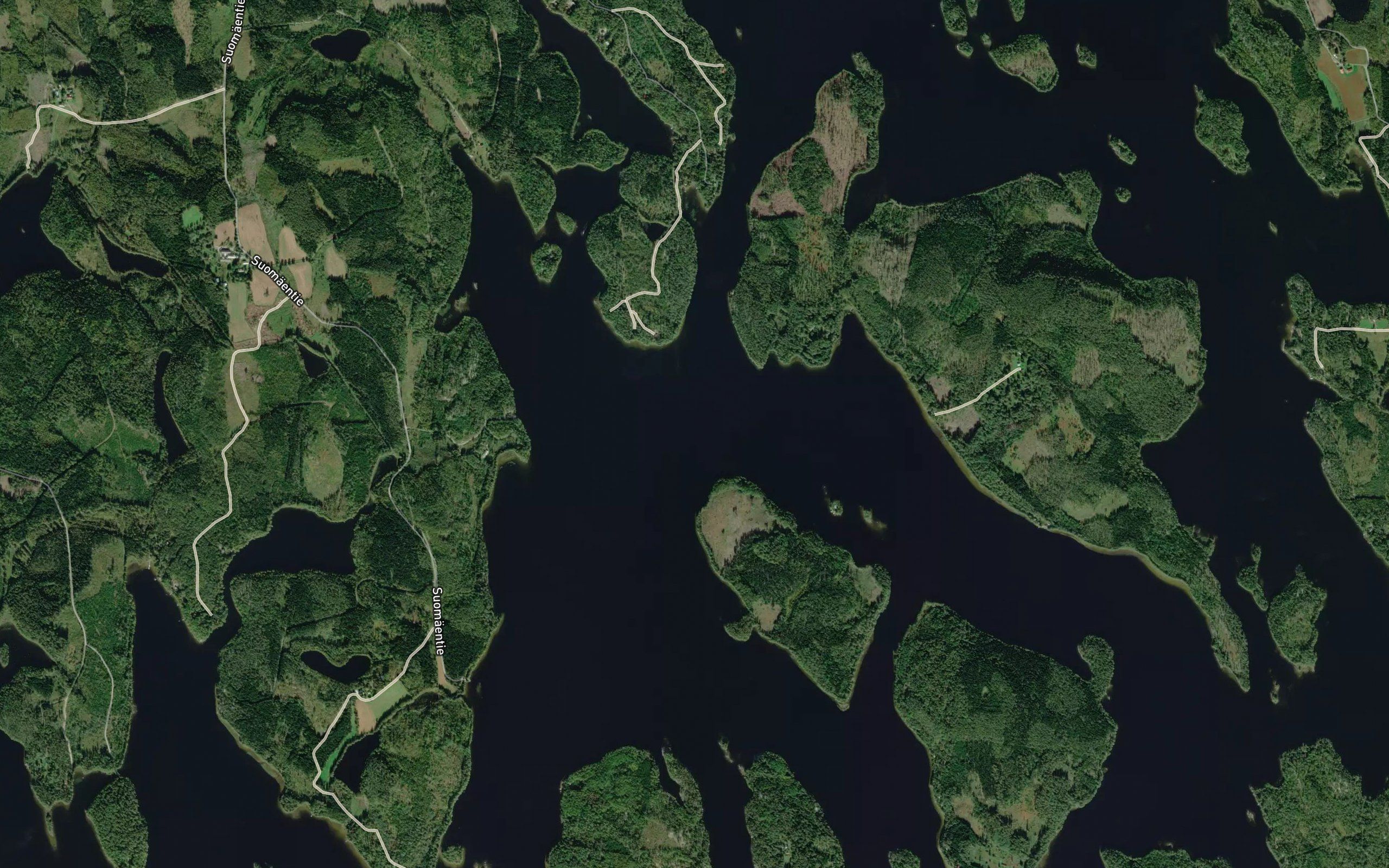Haukkaselka
