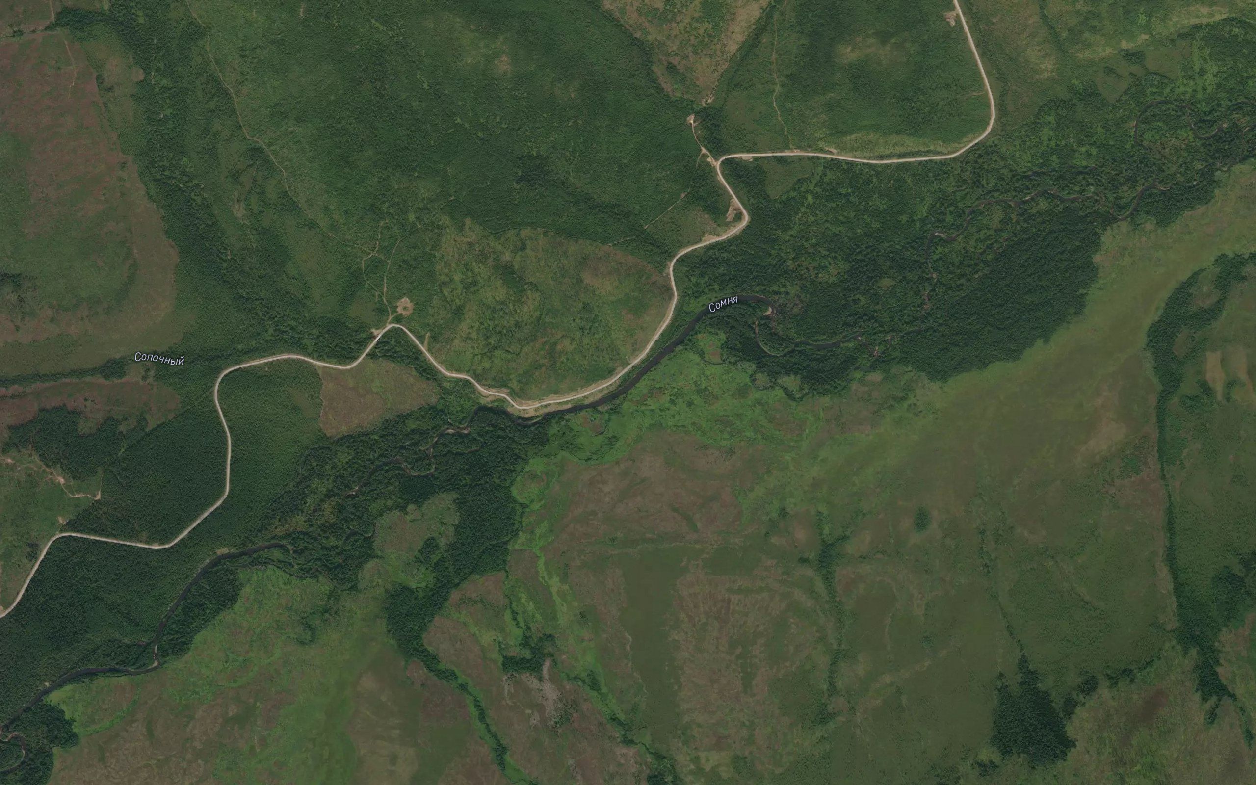 Alangi