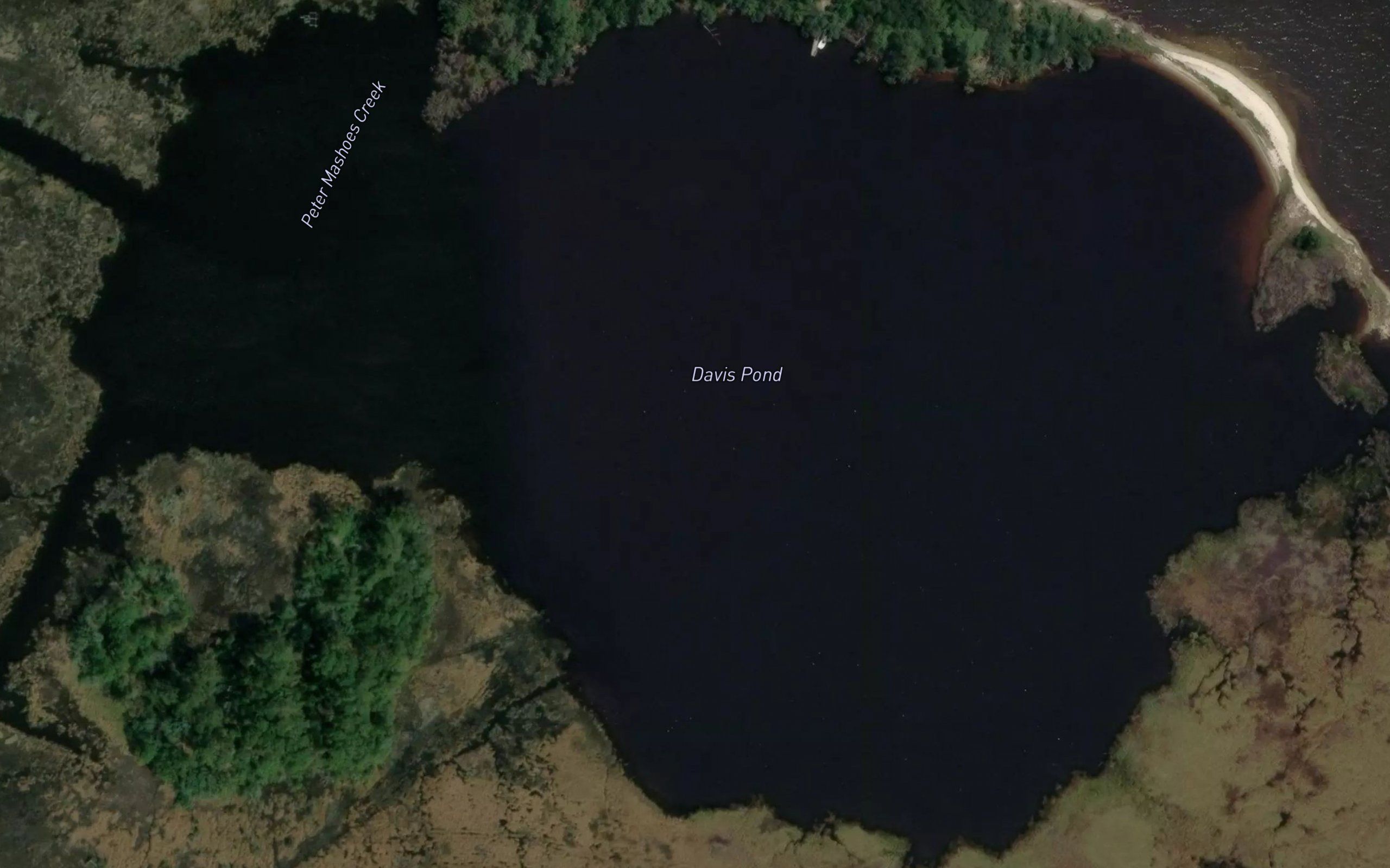 Davis Pond
