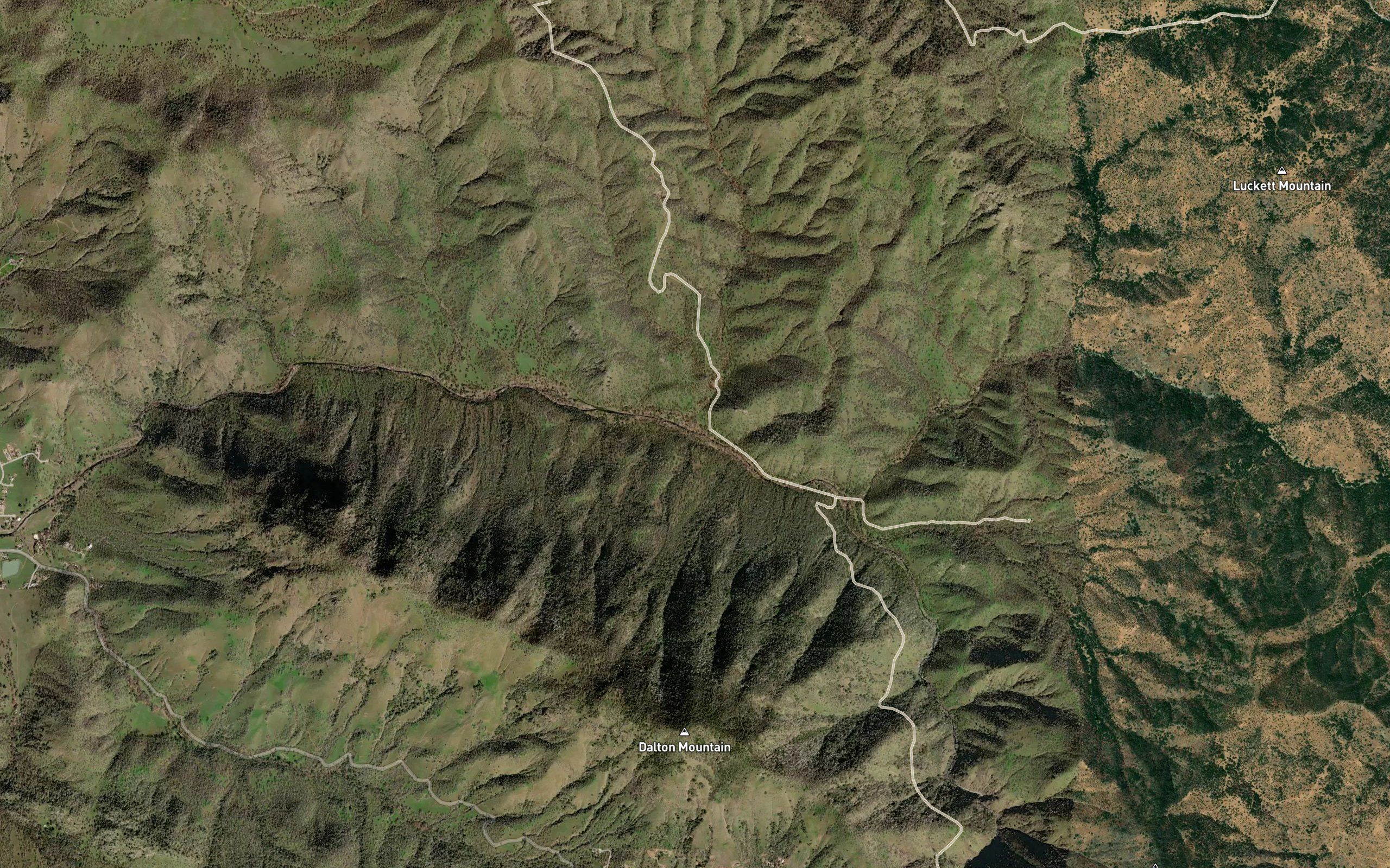 Sycamore Creek