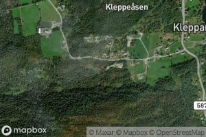 Kleppetjornane