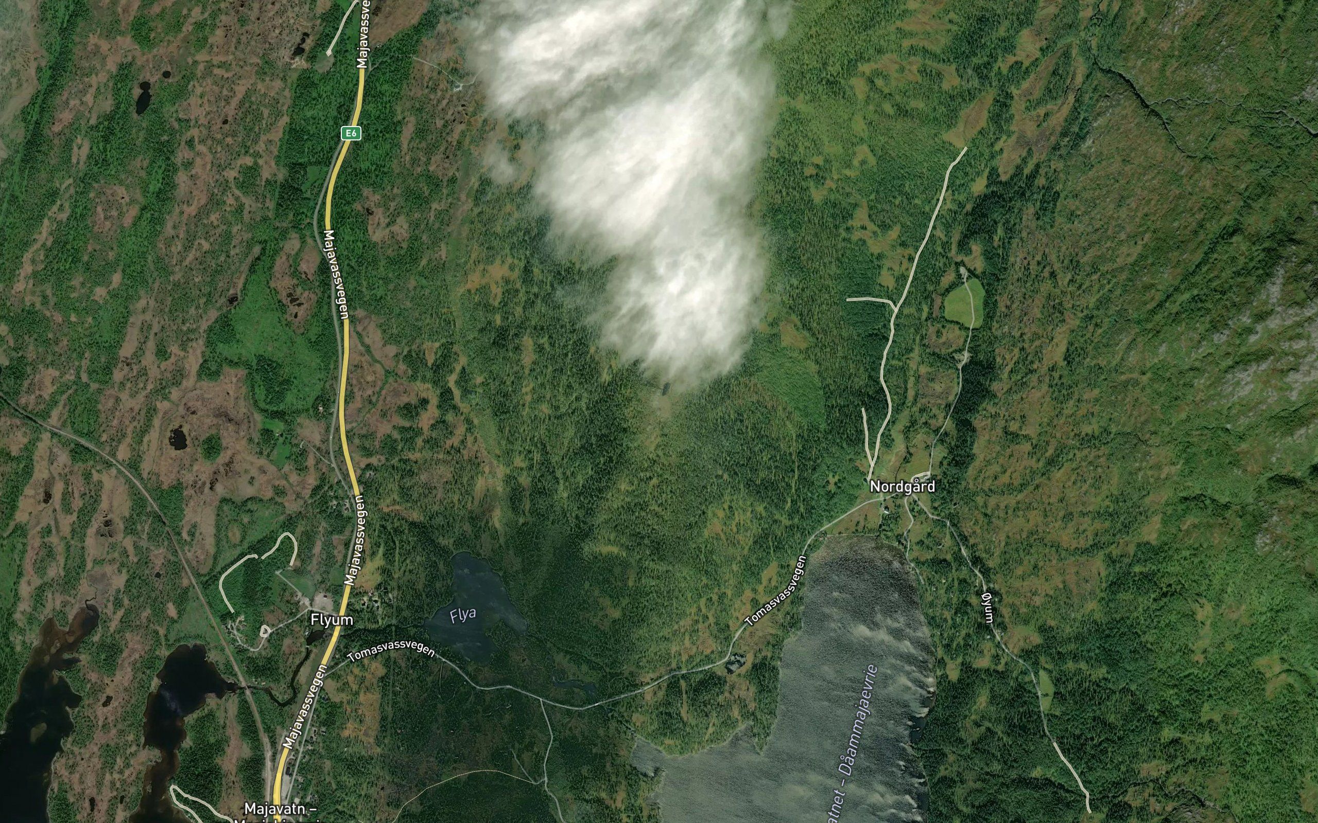 Kvannfjelltjonna