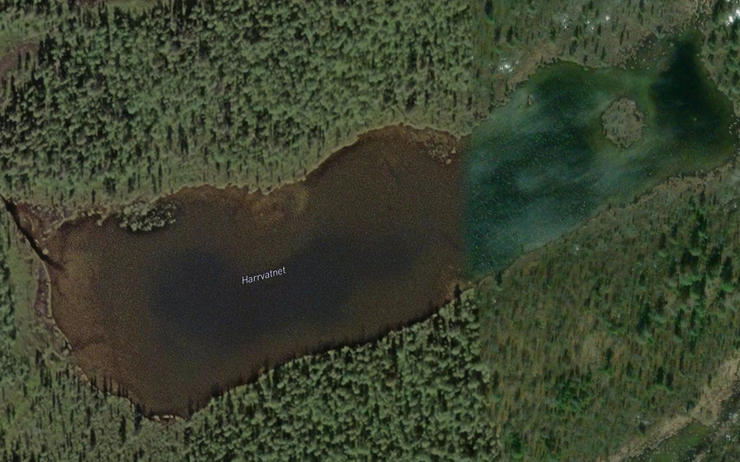 Harrvatnet