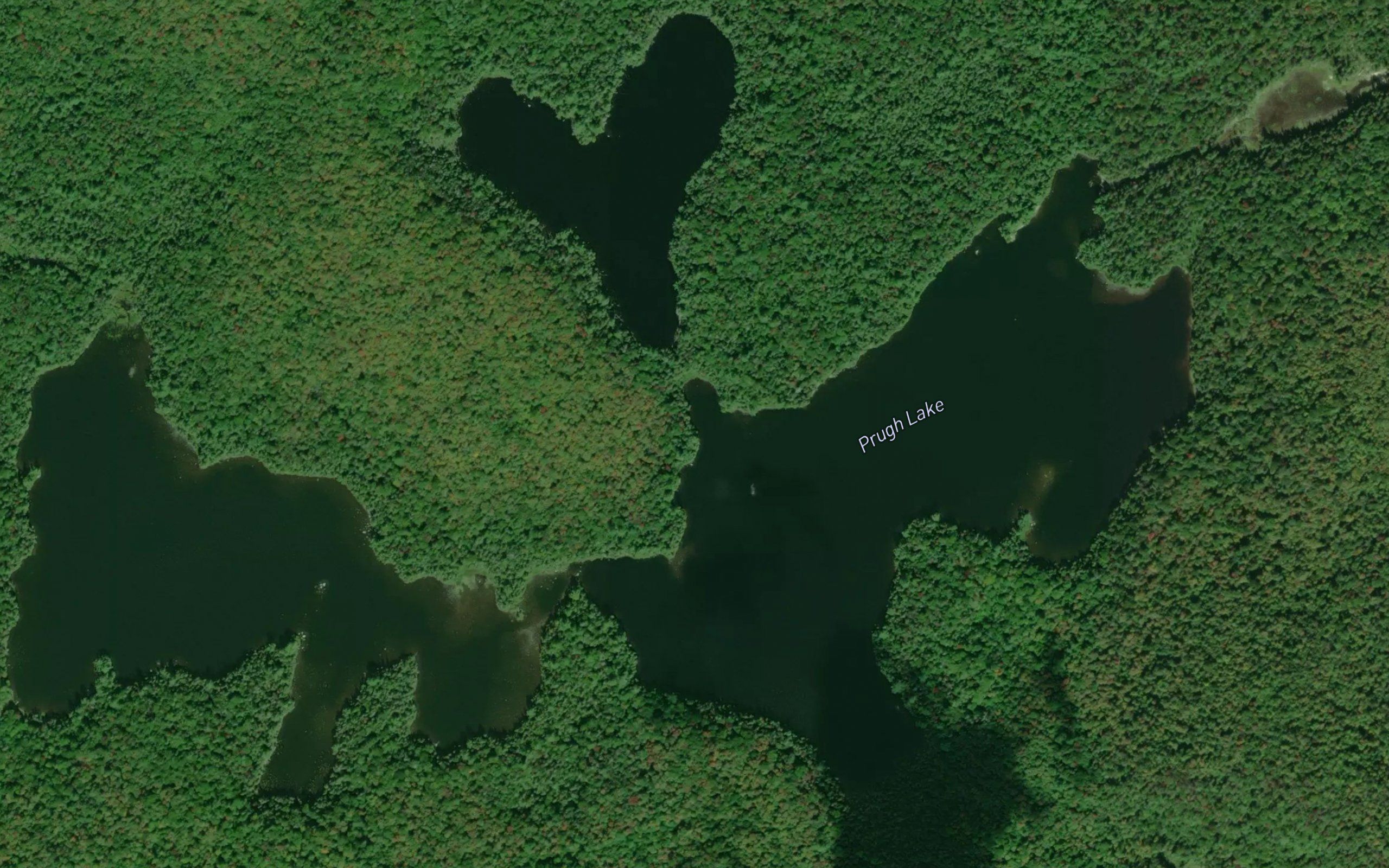 Prugh Lake