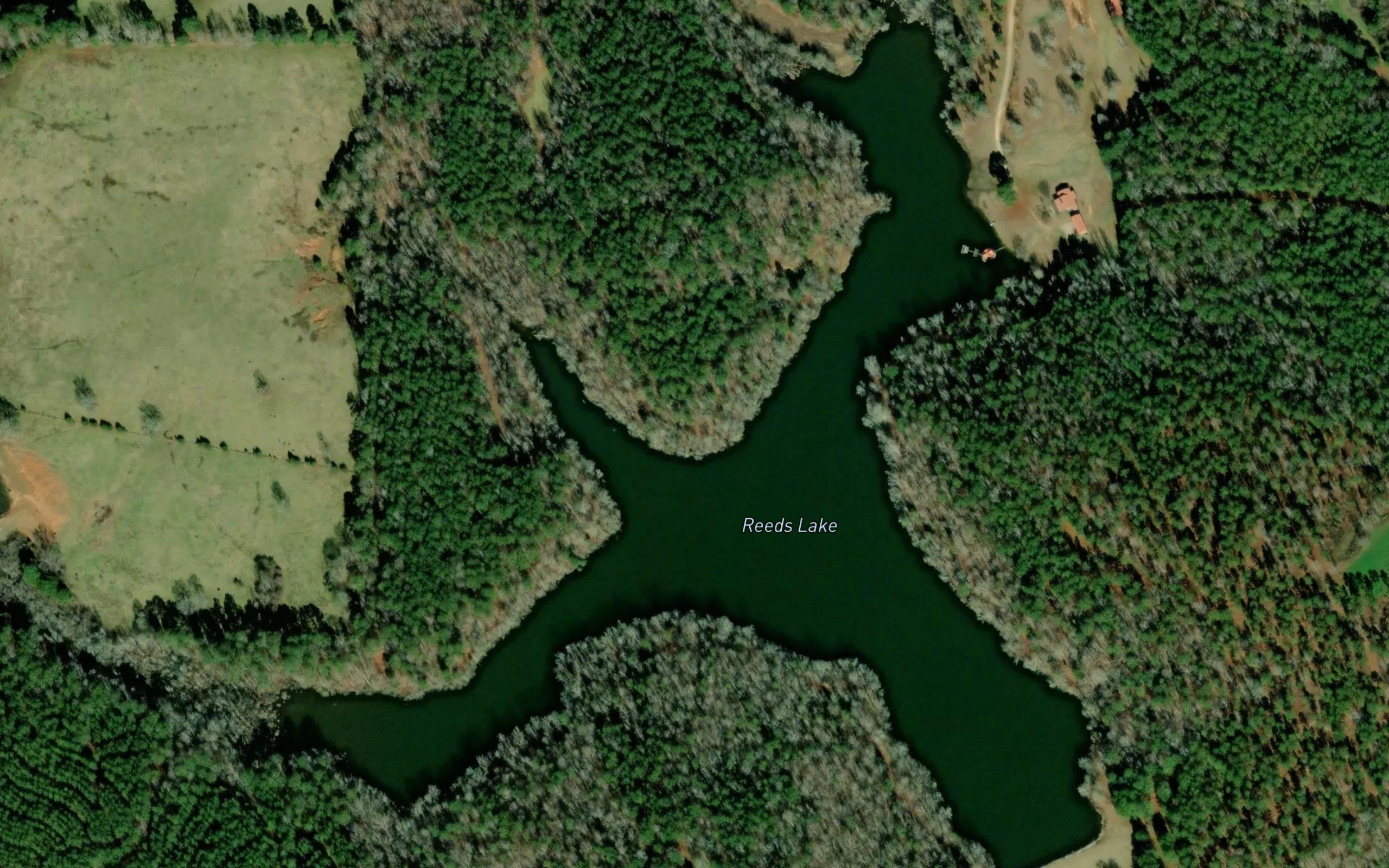 Reeds Lake