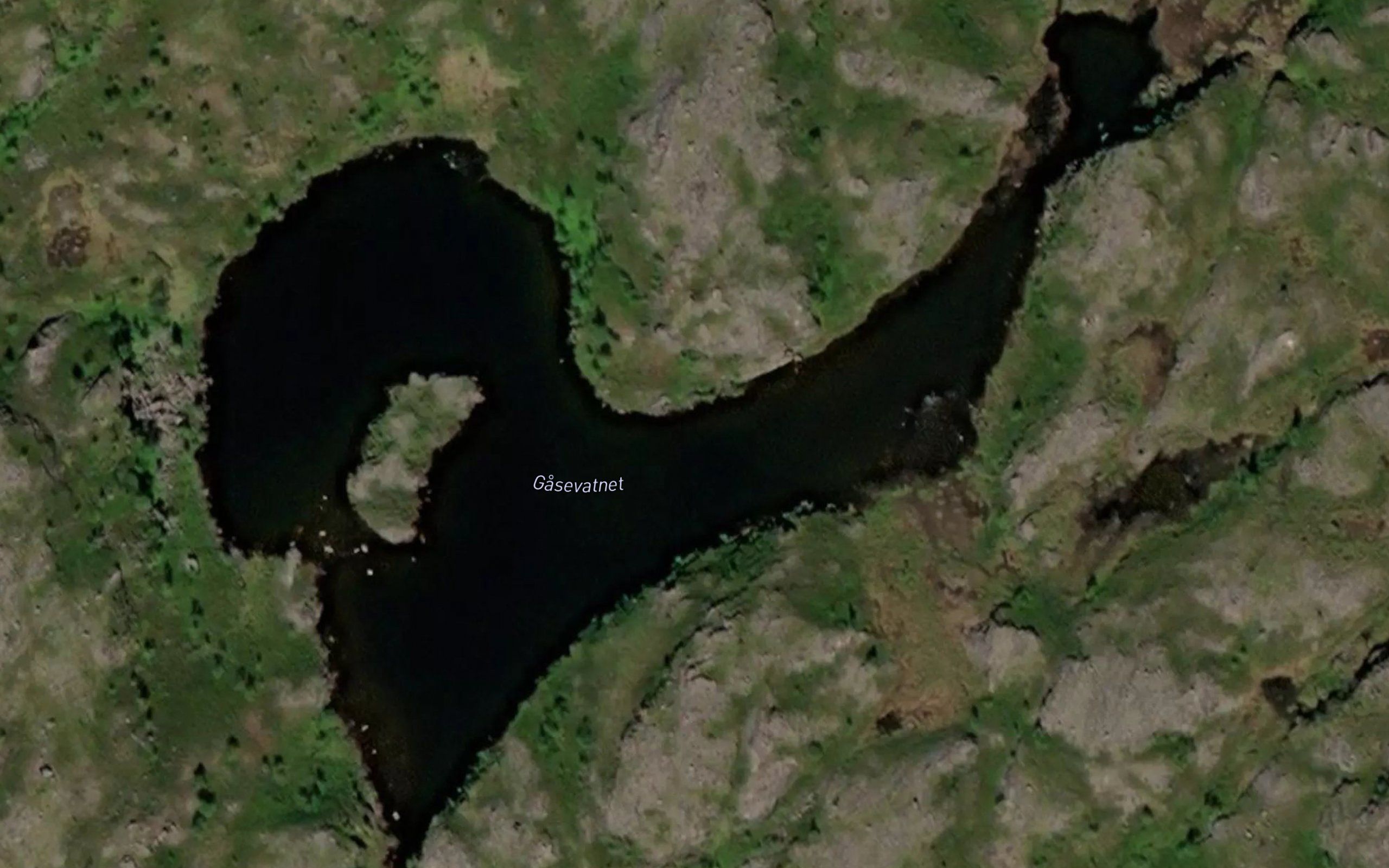 Gasevatnet