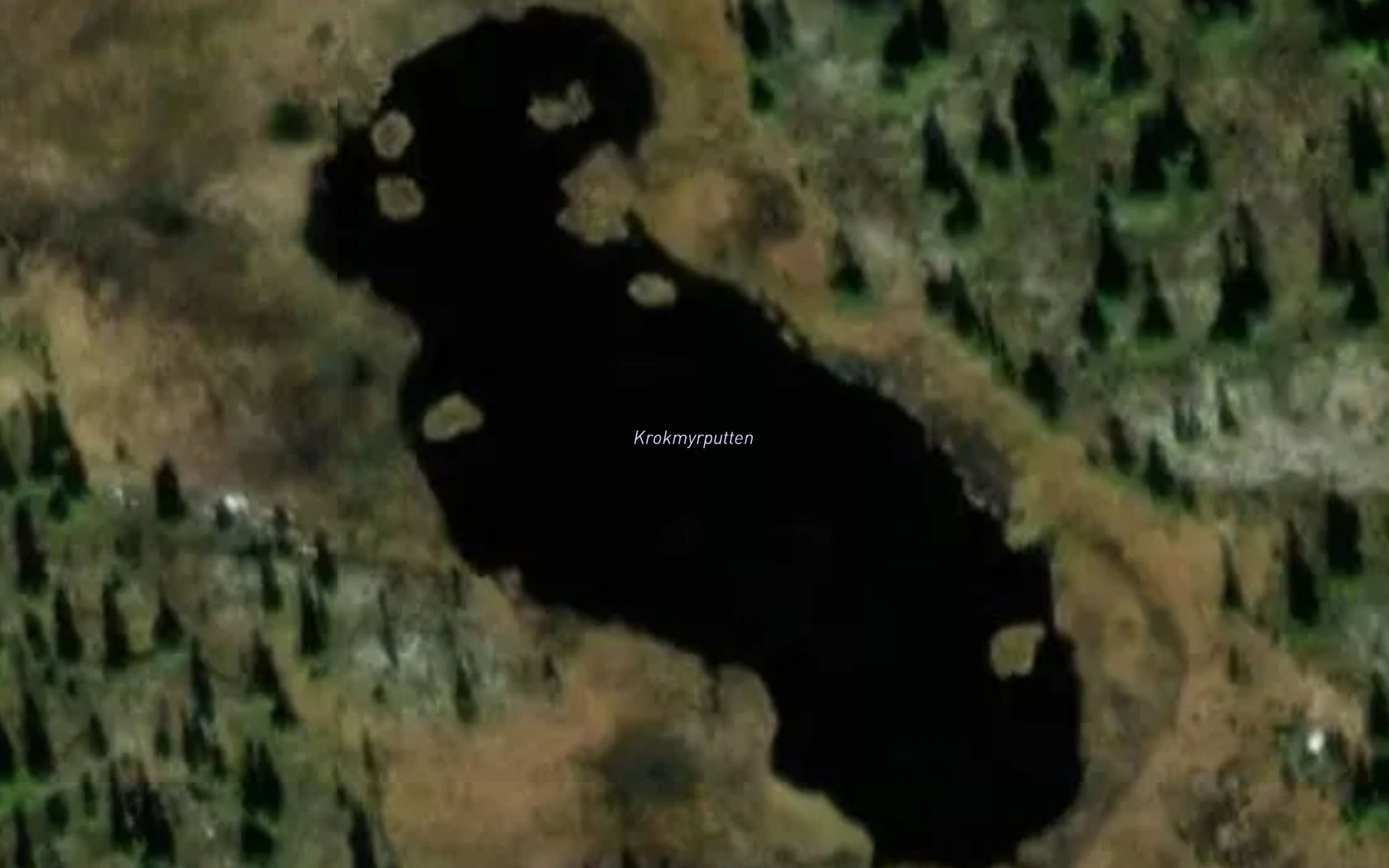 Krokmyrputten