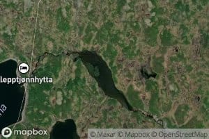 Langtjonna