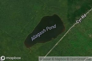 Allagash Pond