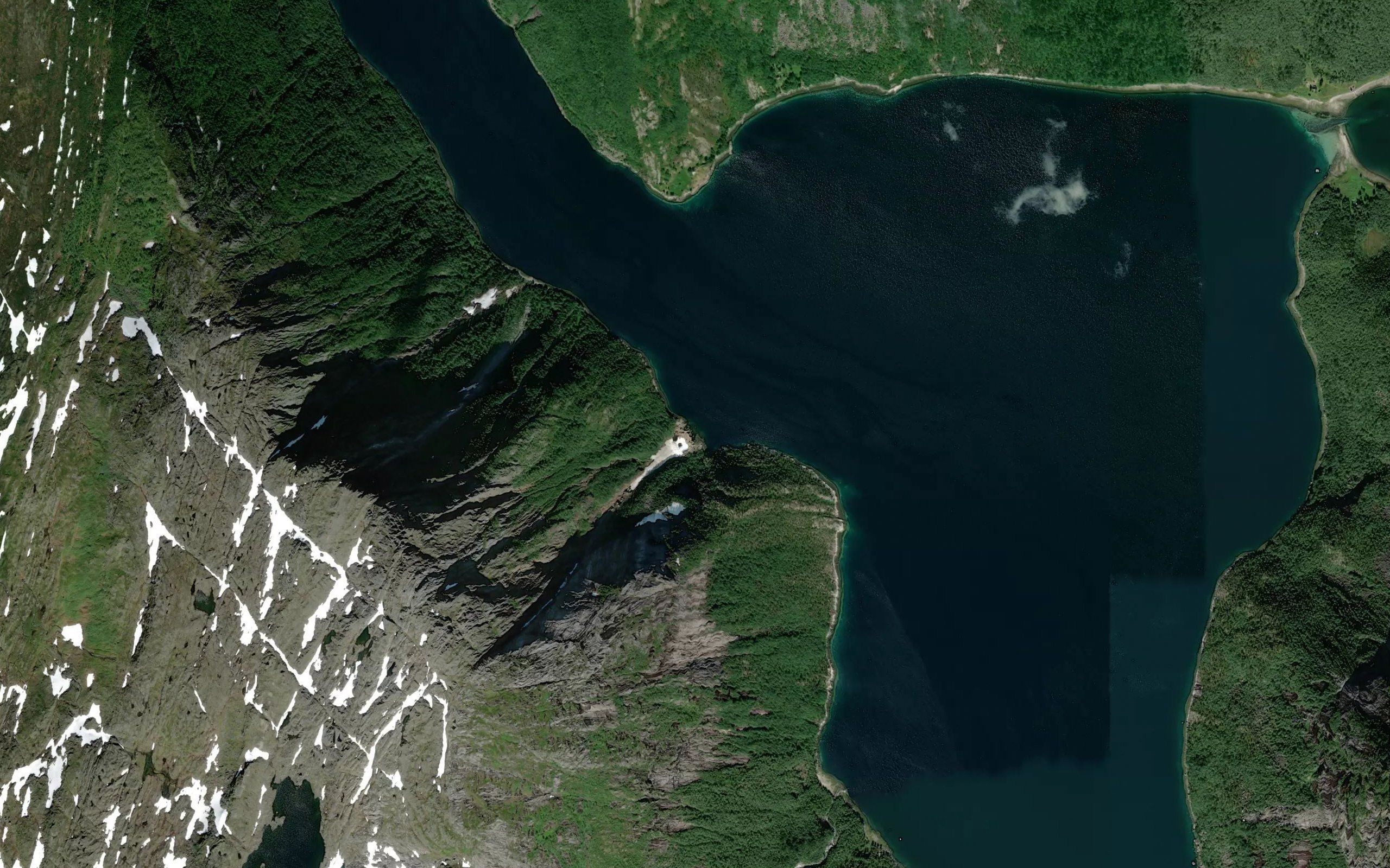 Salttvuohppi