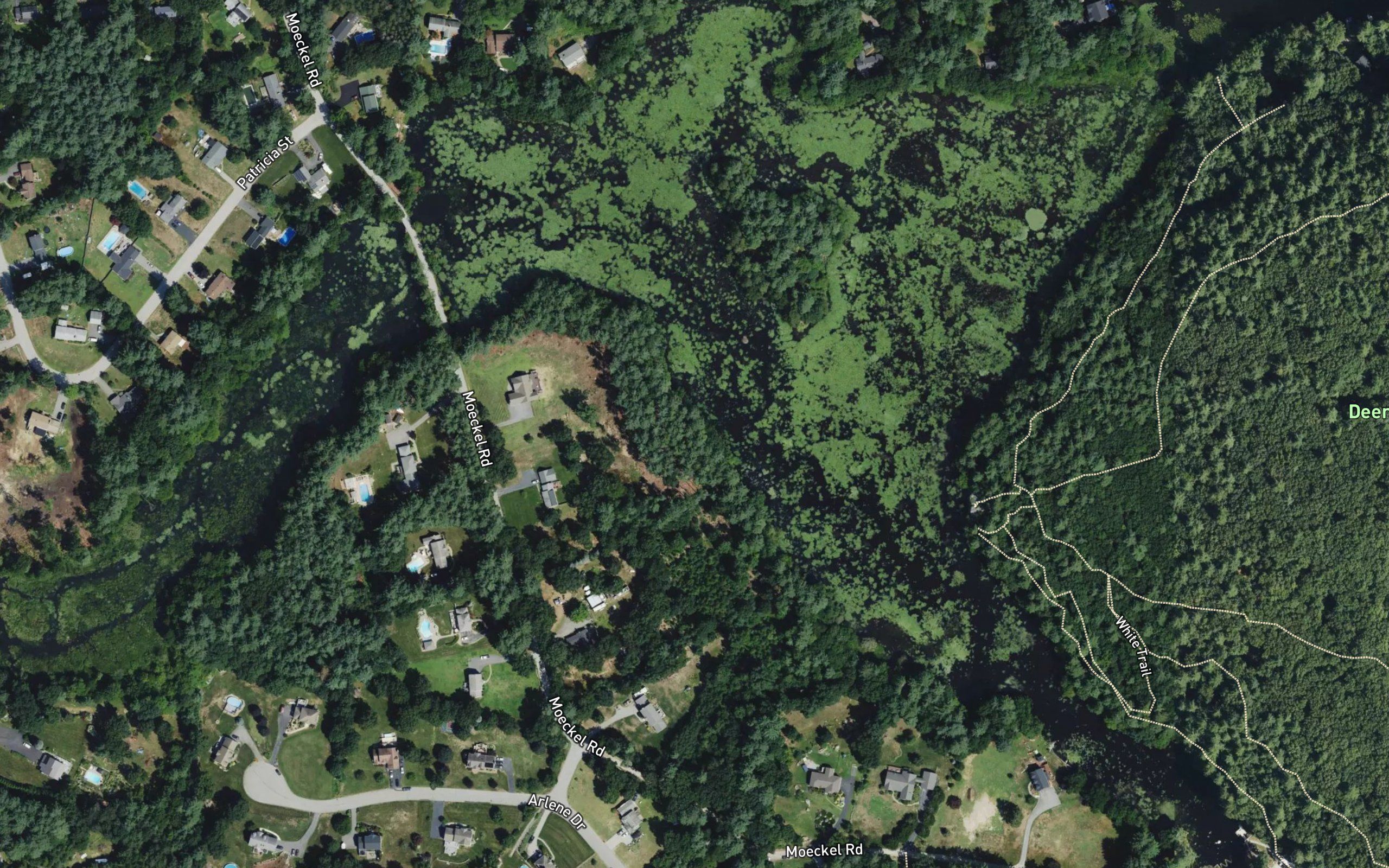 Moeckel Pond