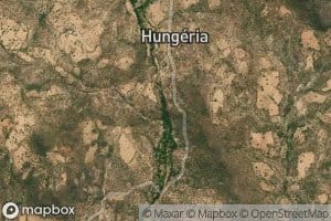 Nguelia
