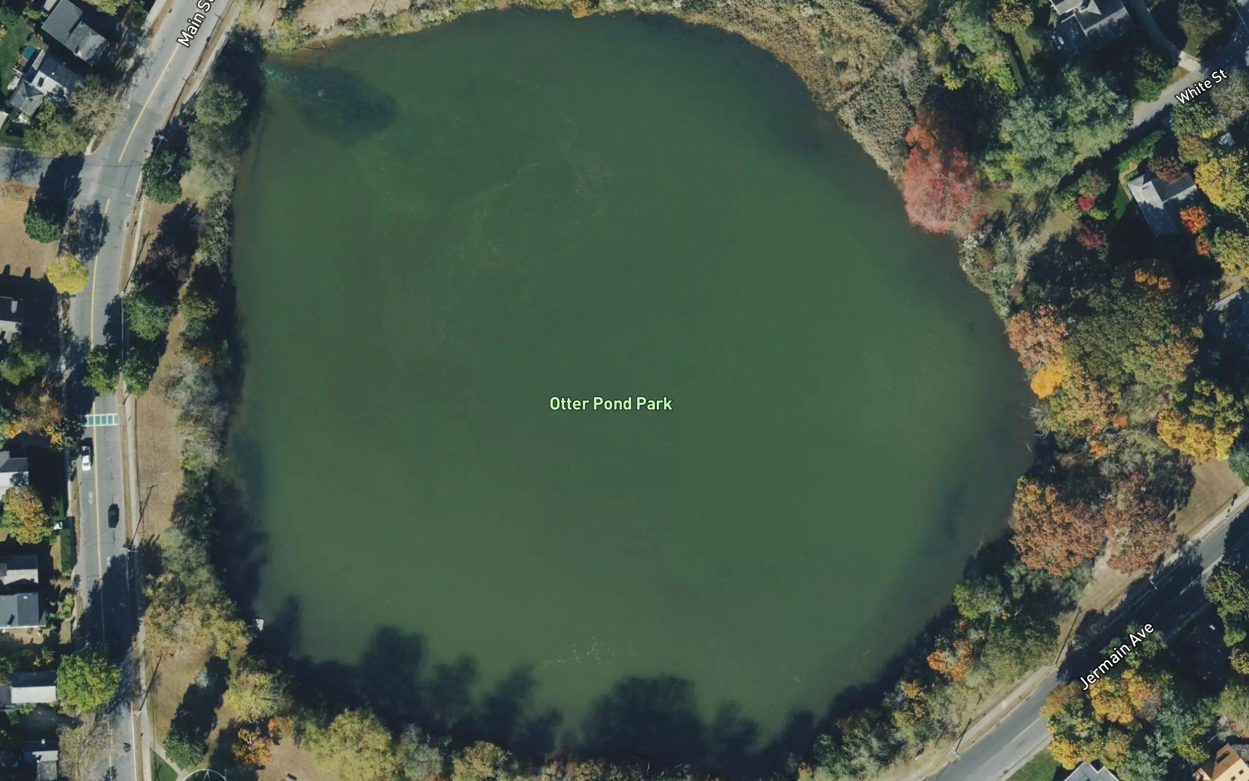 Otter Pond