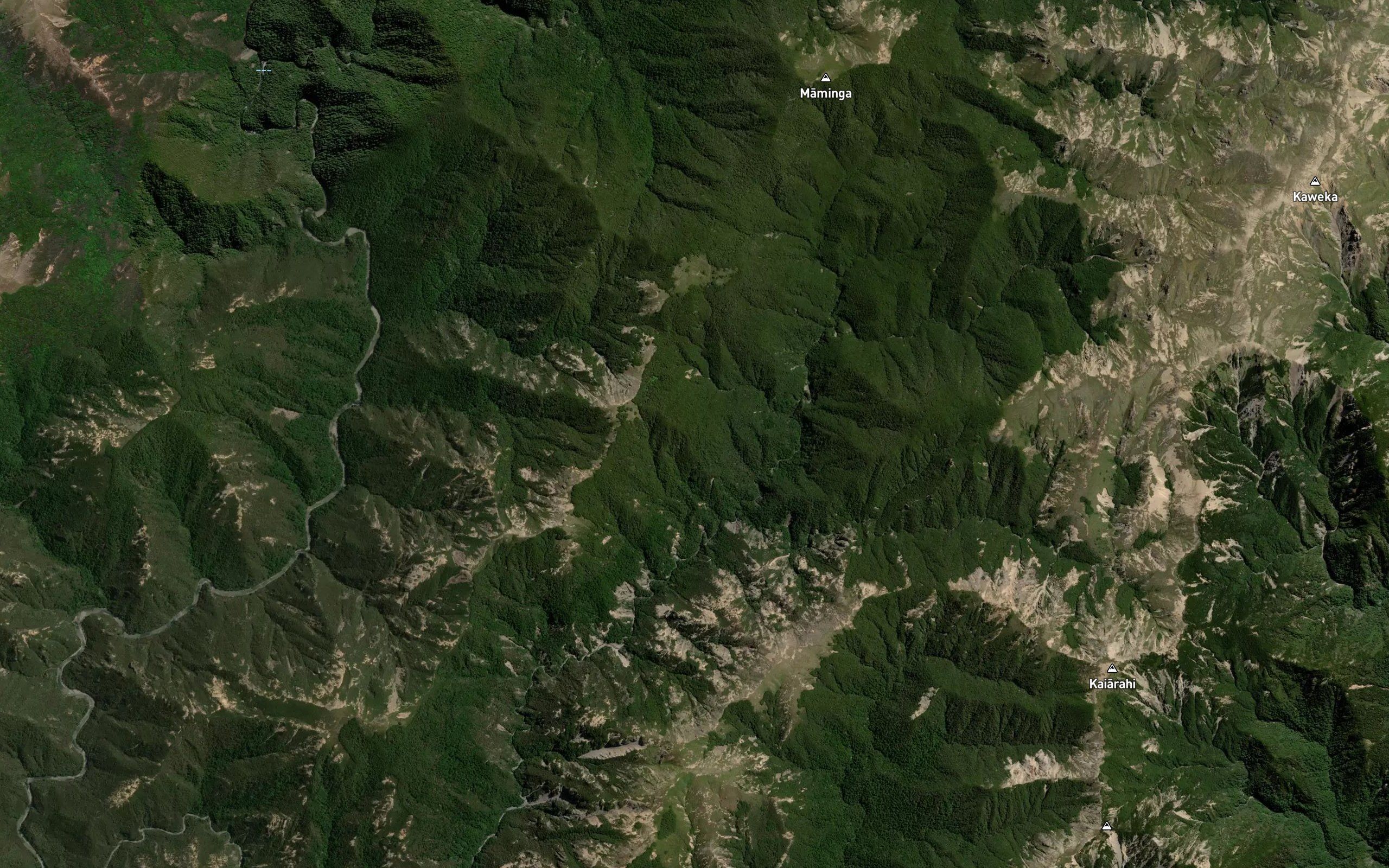 Kiwi Creek