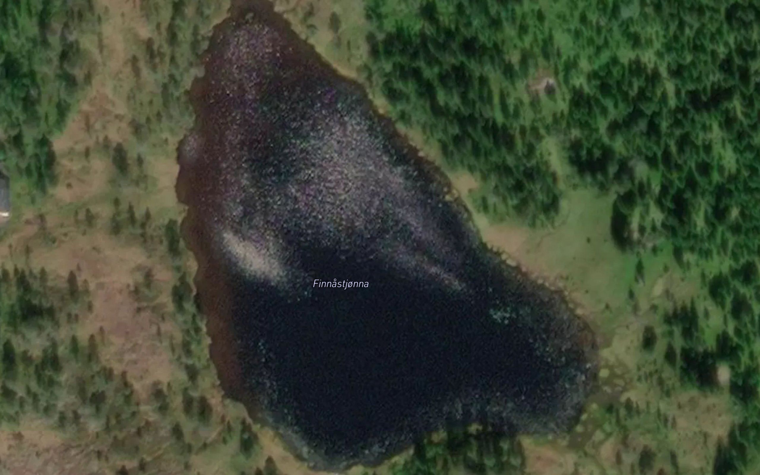 Finnastjorna