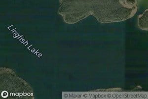 Lingfish Lake