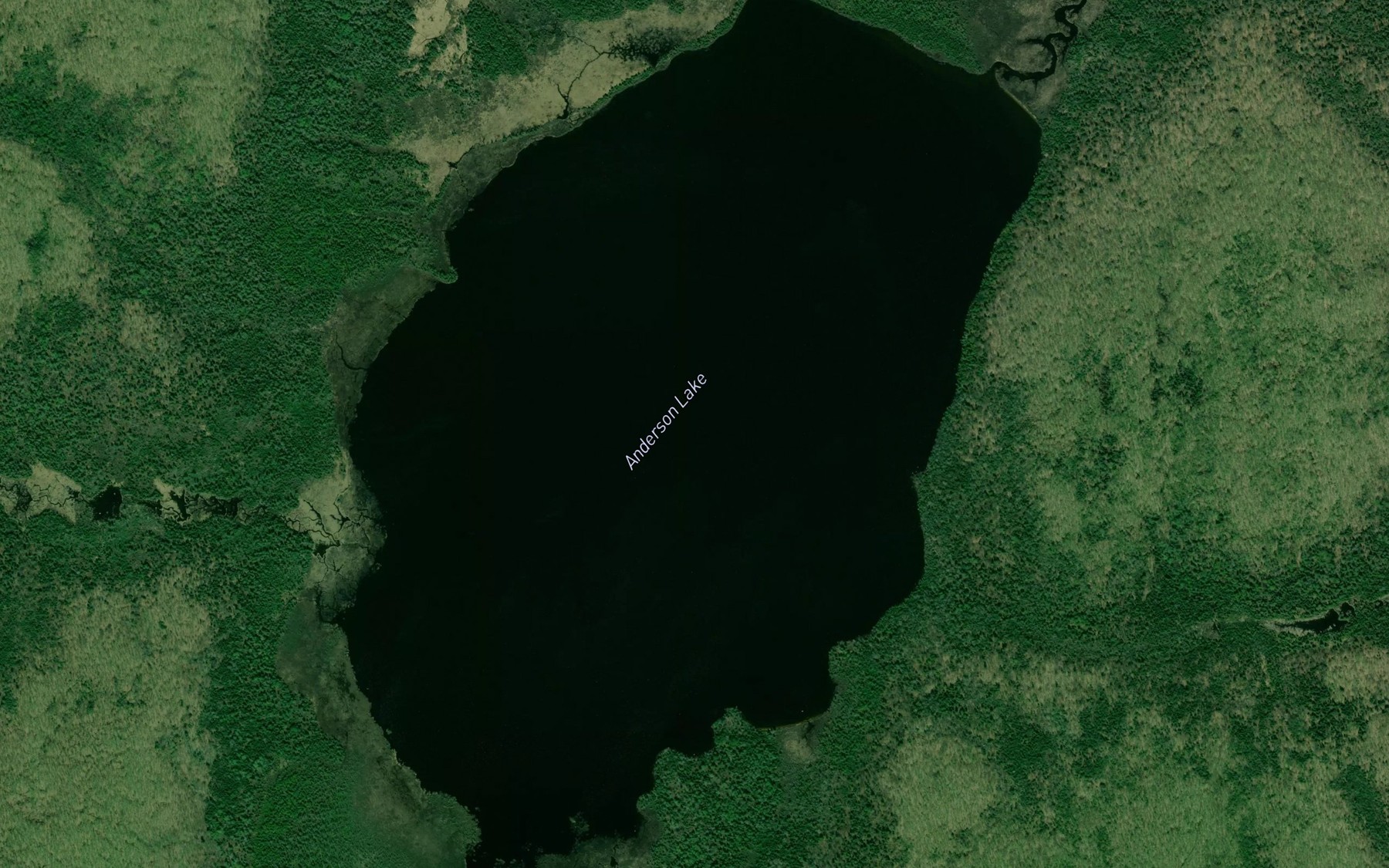 Satellite map of the Anderson Lake
