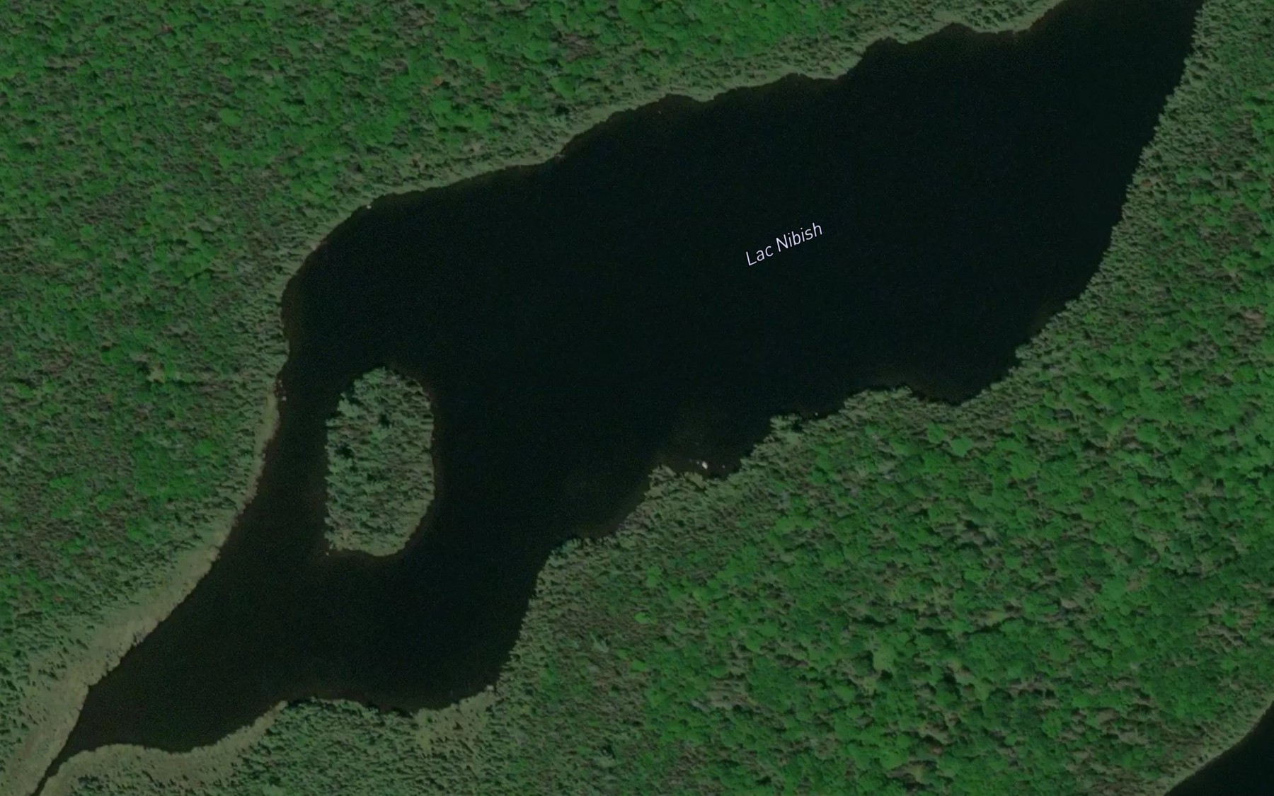 Satellite map of the Lac Nibish