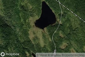 Lomtjernet