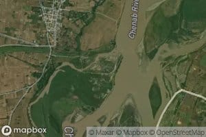 Distributary Number Four