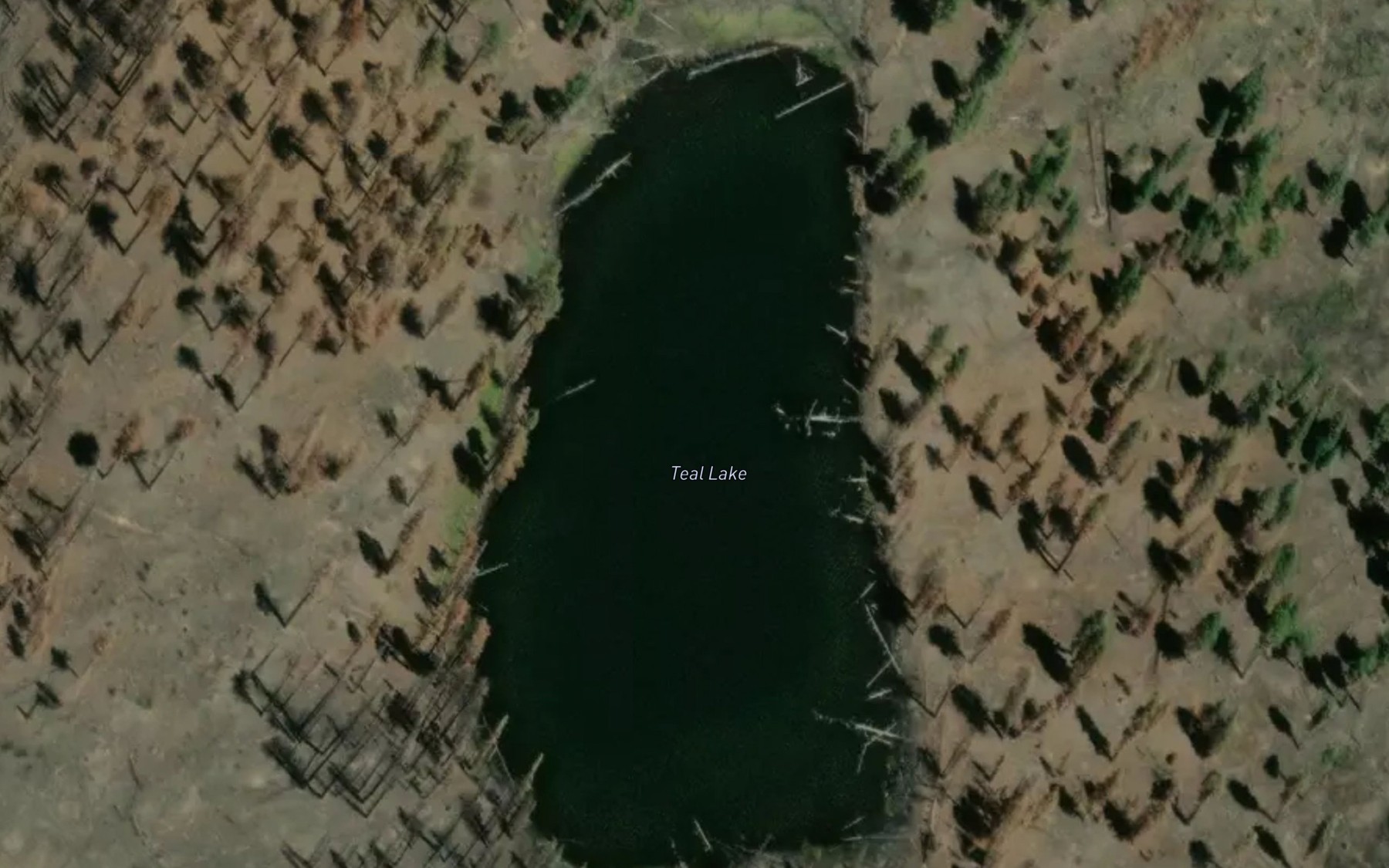 Satellite map of the Teal Lake