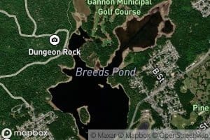 Breeds Pond