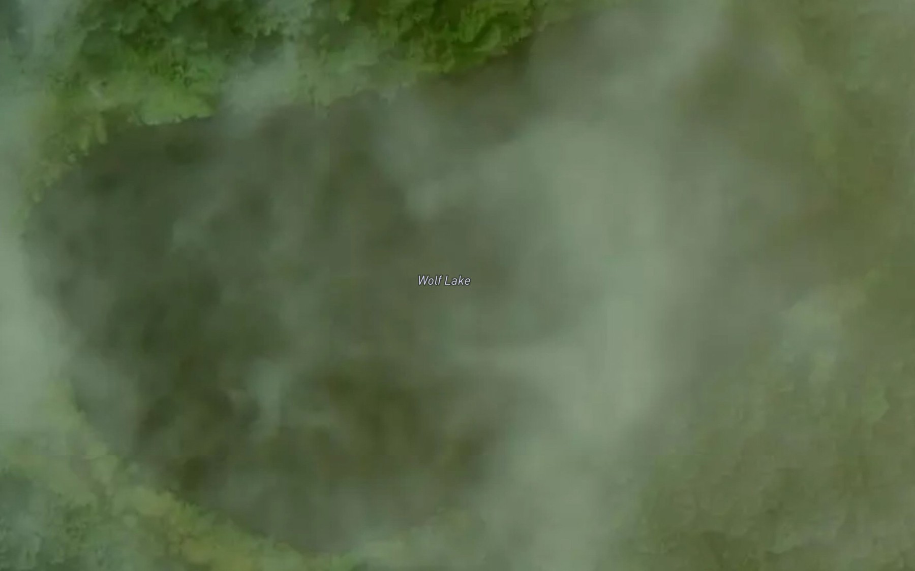 Satellite map of the Wolf Lake