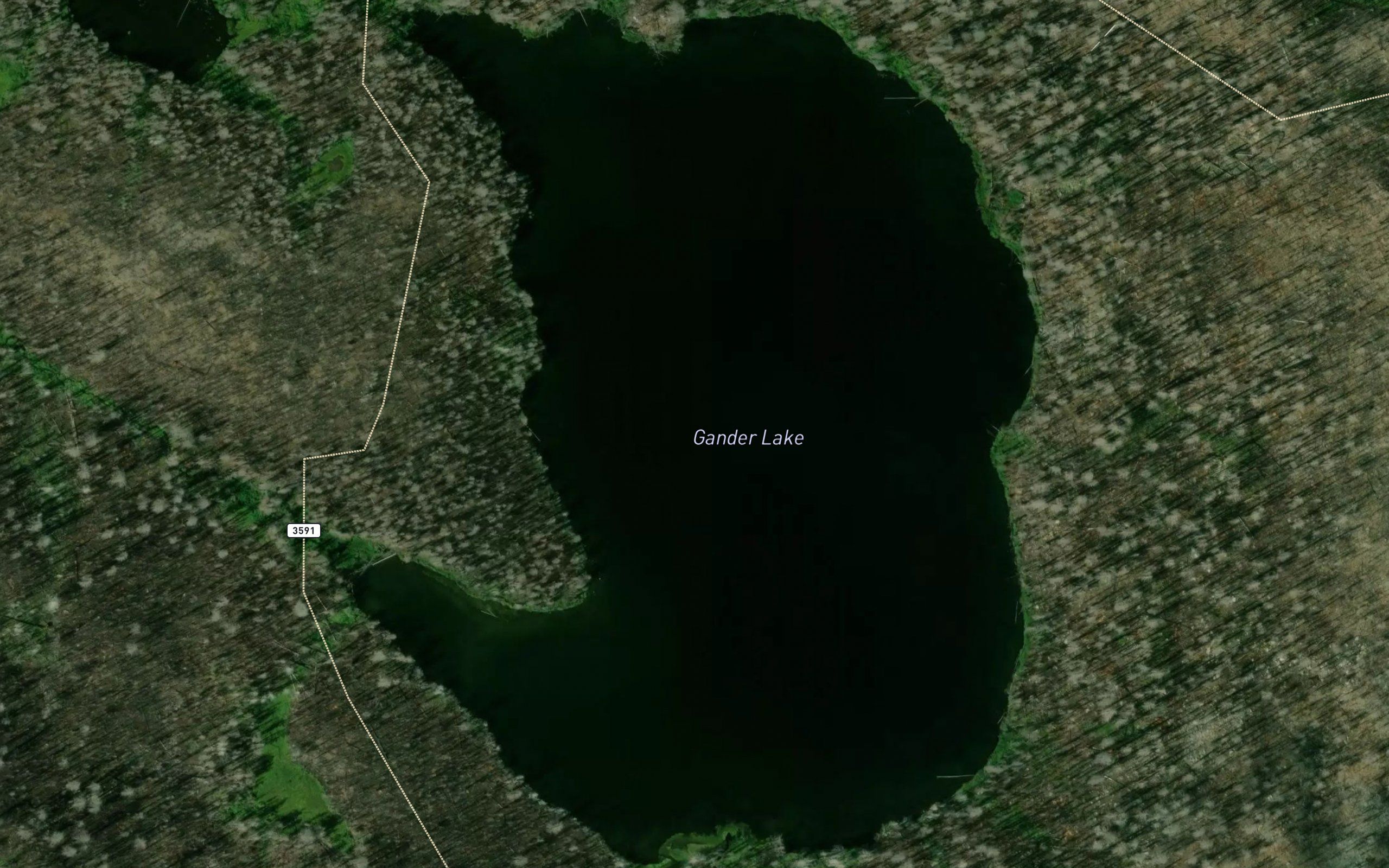 Gander Lake