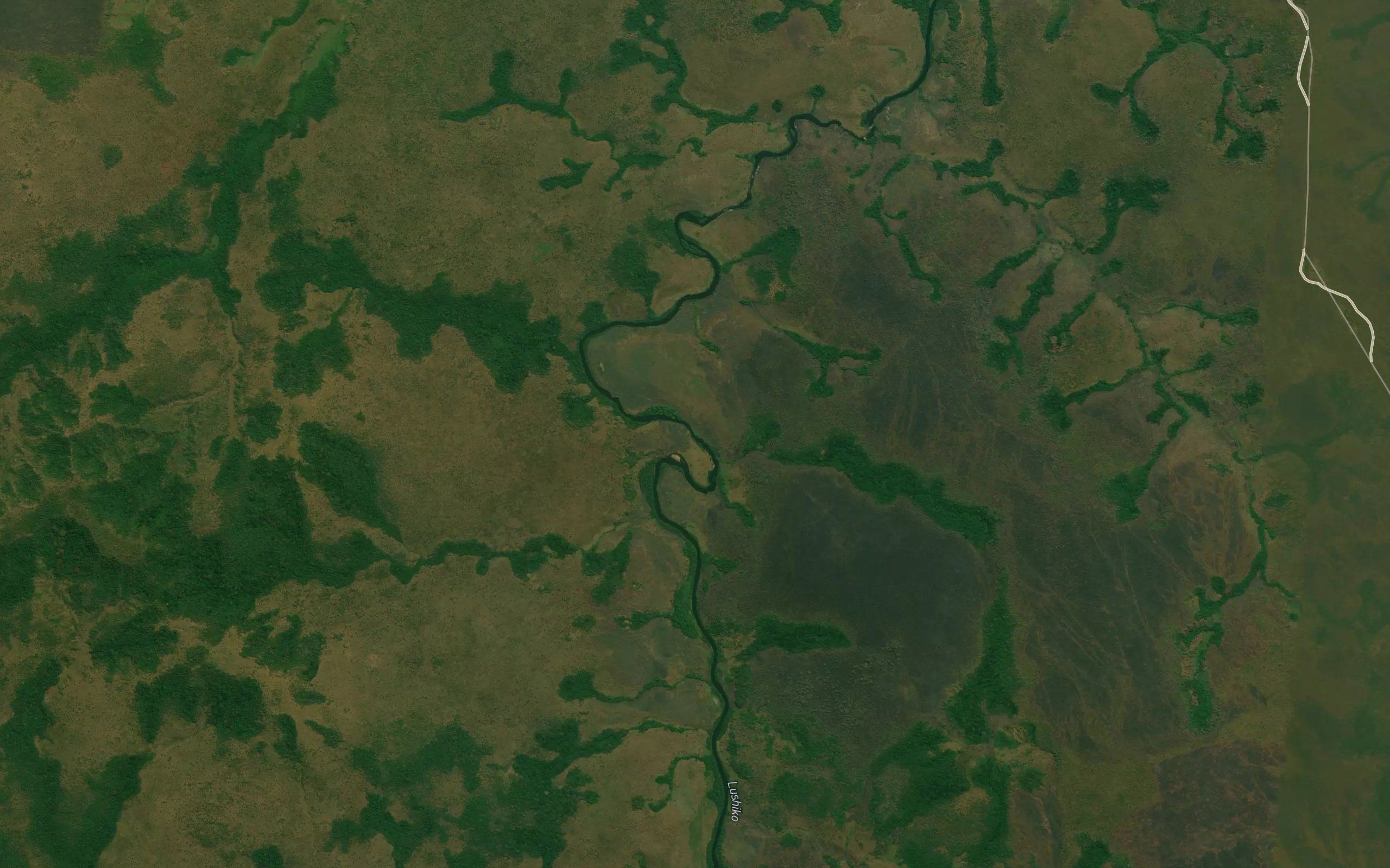 Canguengueia