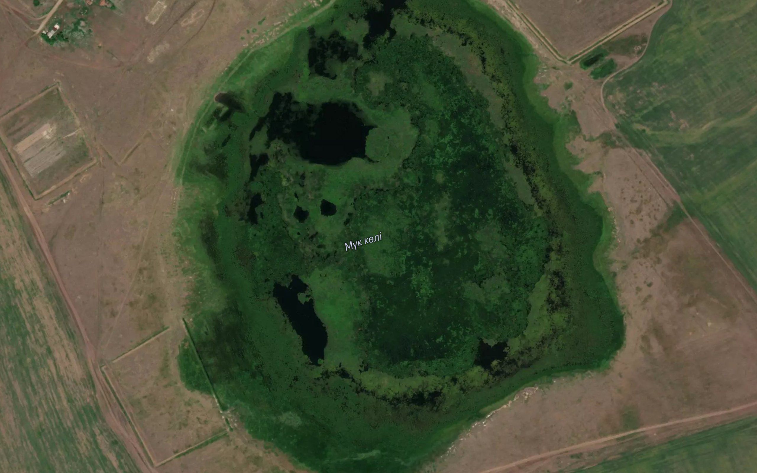 Mokhovoye