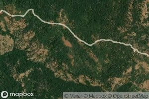 Deer Spring