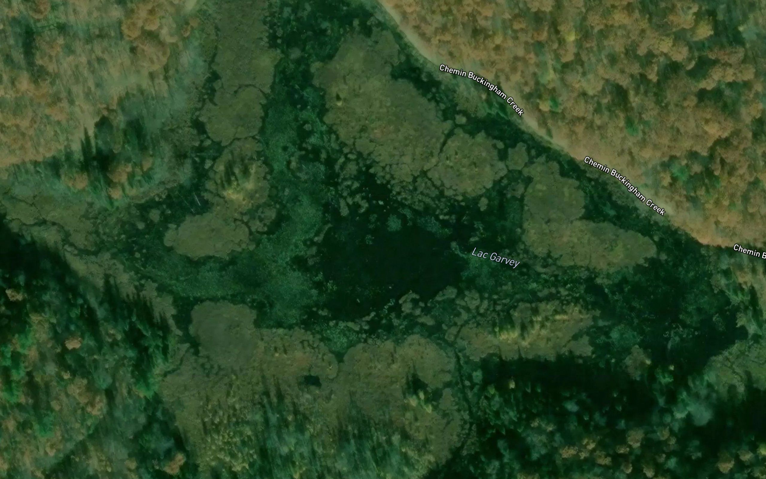 Lac Garvey